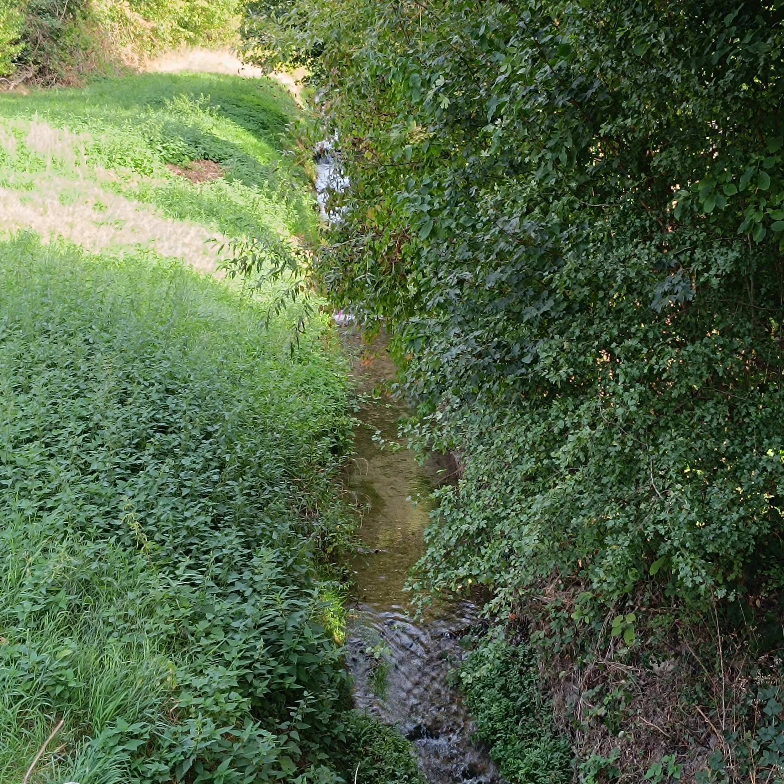 IMG_20260906_165059.jpg