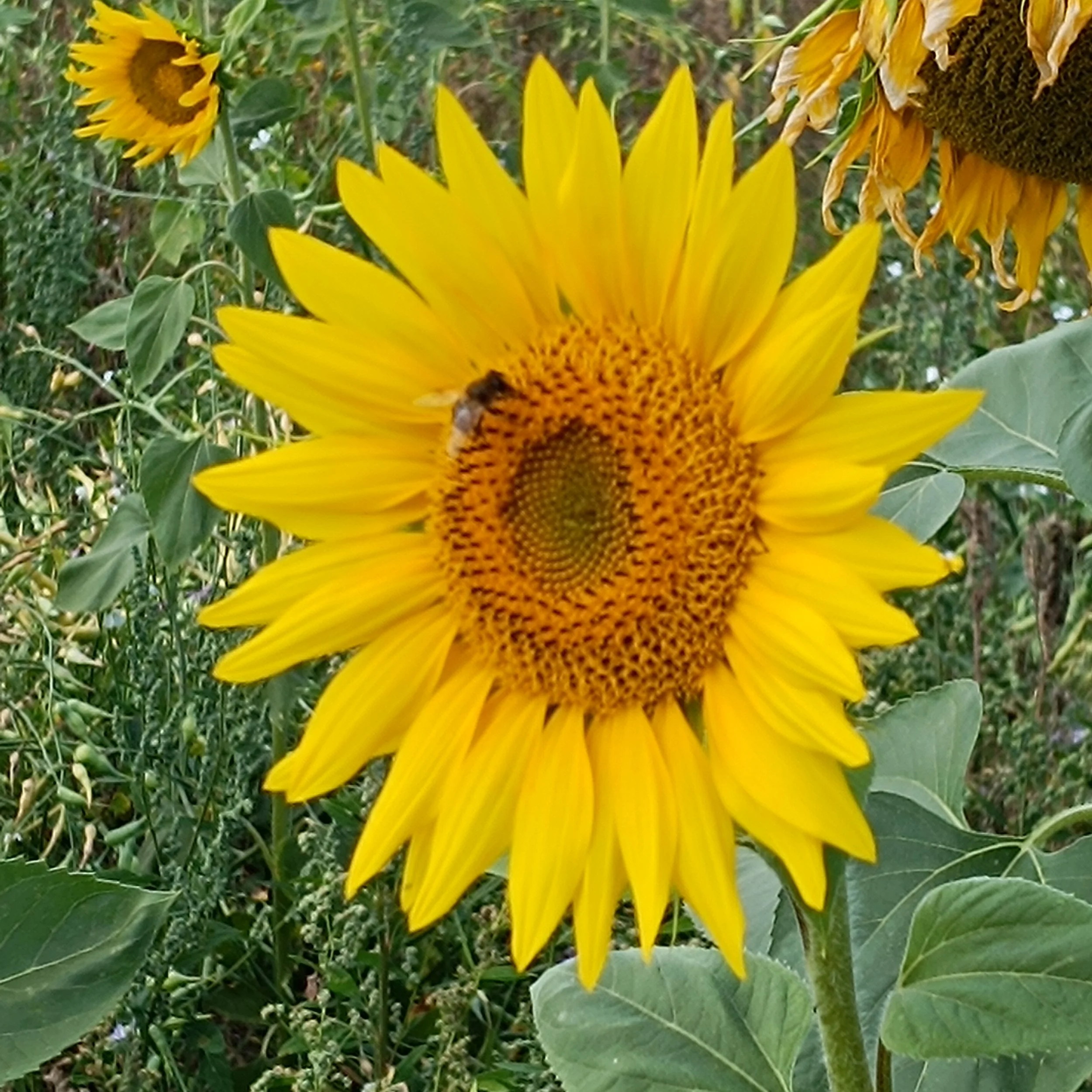 IMG_20260816_122313.jpg