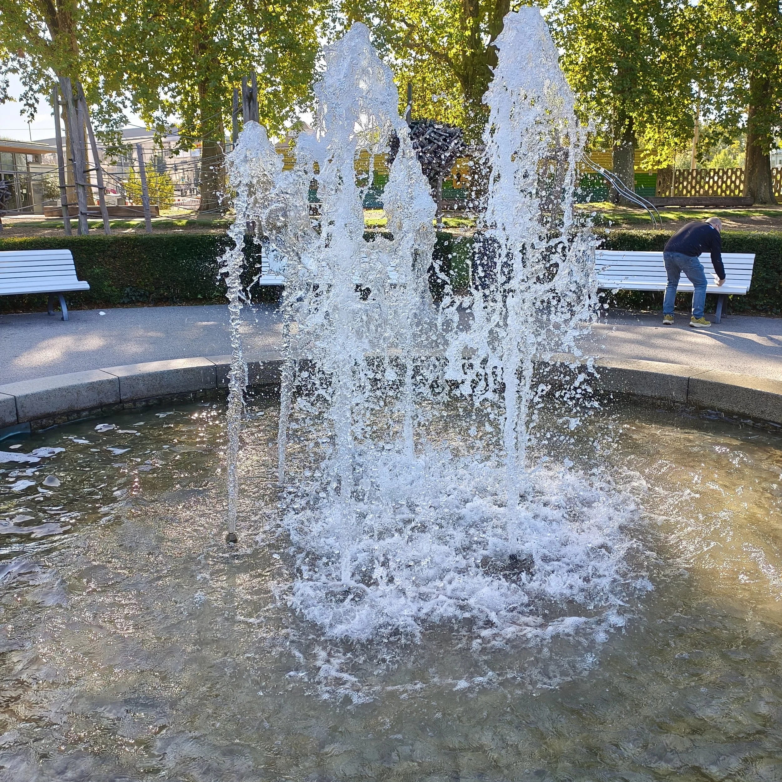 IMG_20260919_100824.jpg