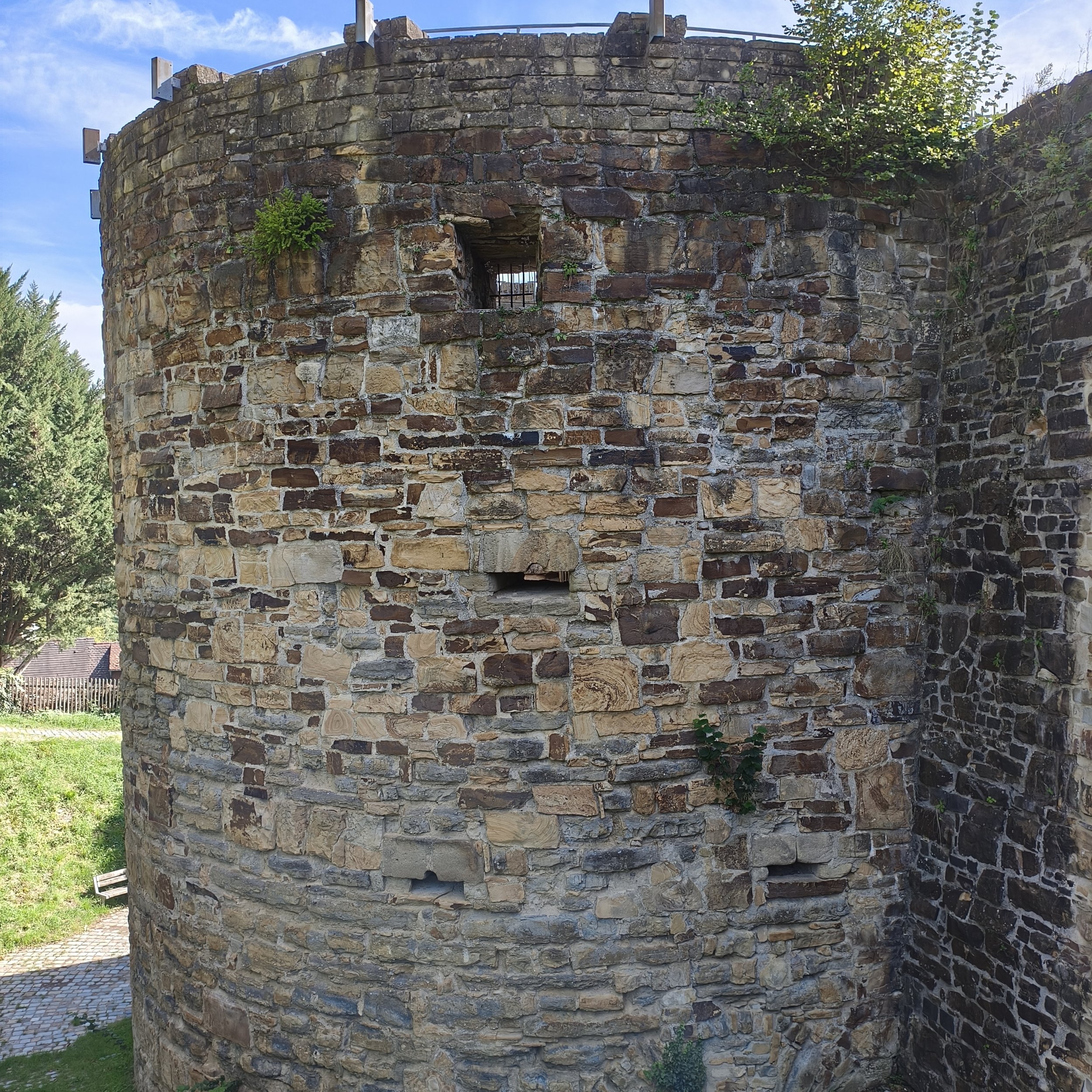 IMG_20260919_145008.jpg