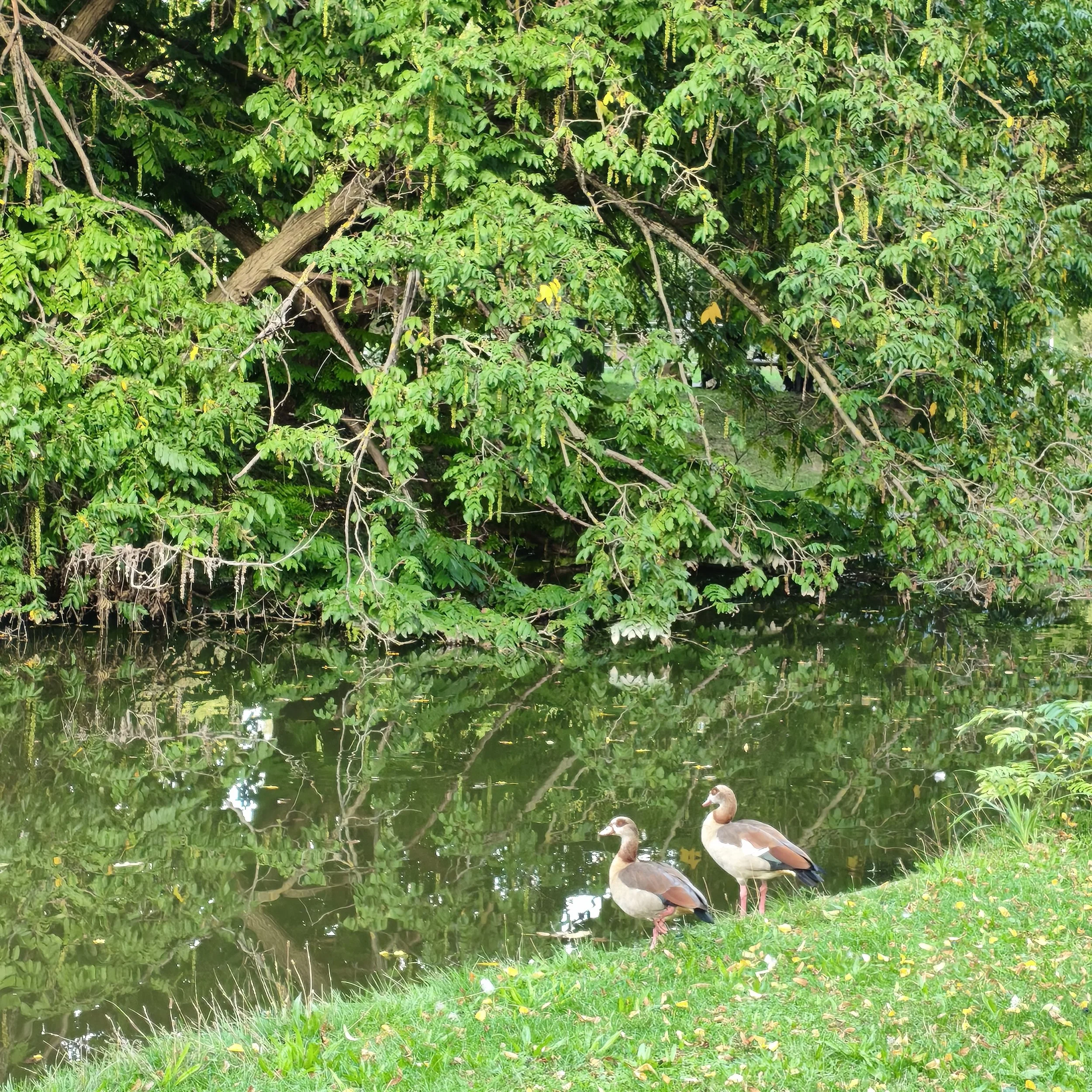 IMG_20260919_184023.jpg