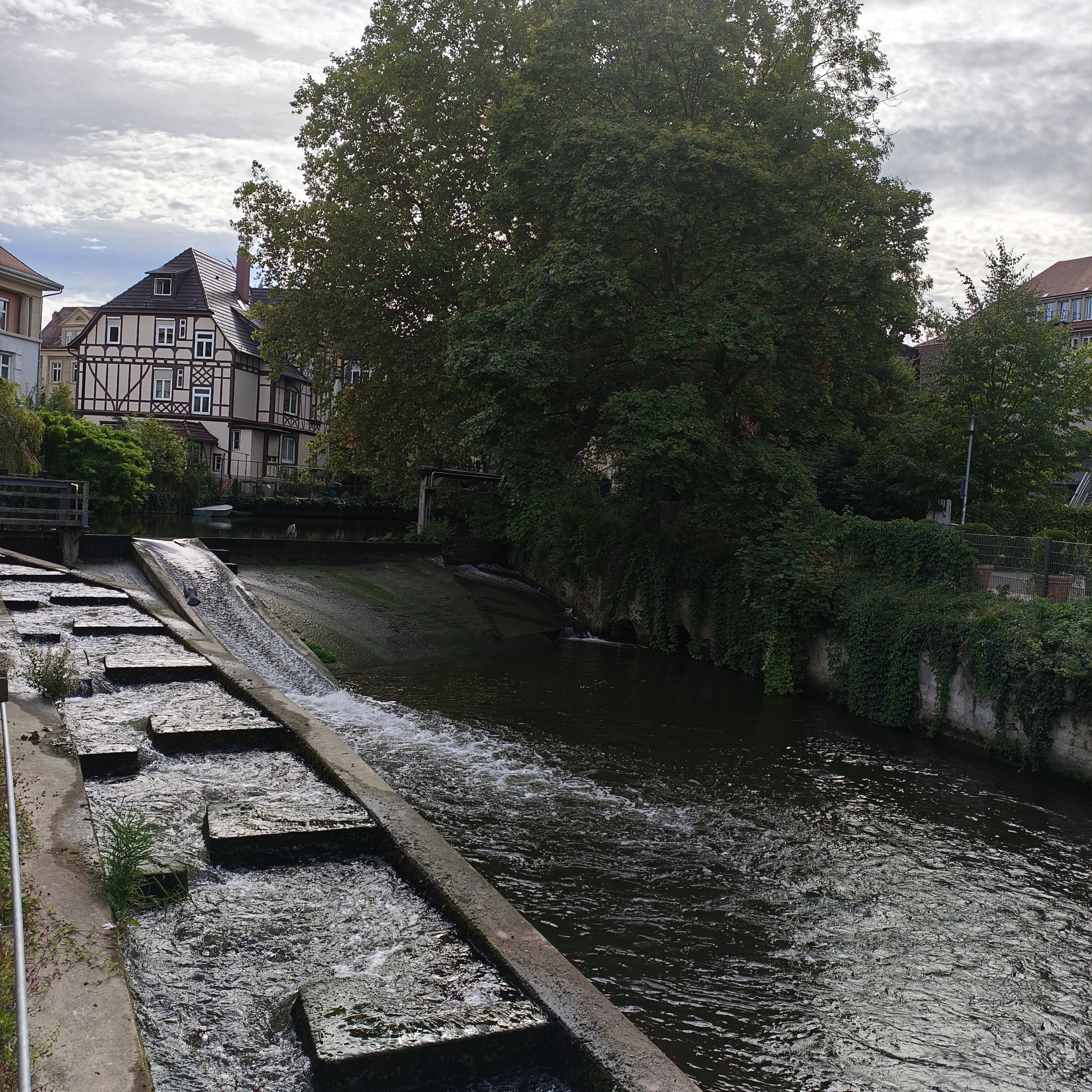 IMG_20260920_104804.jpg