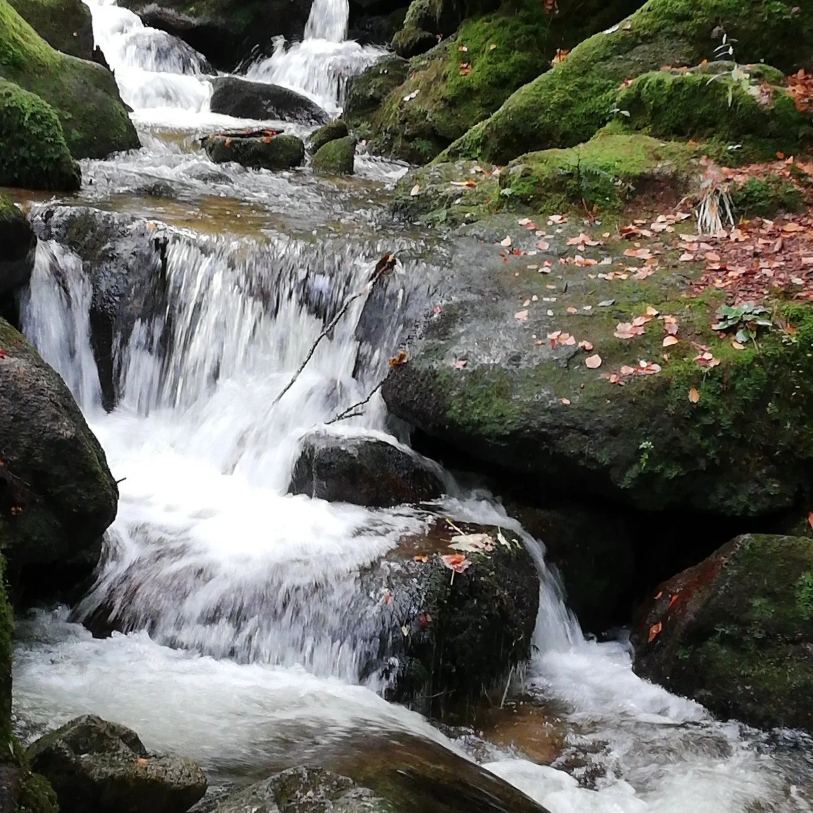 🔴Wasserfalltouren im Nordschwarzwald für Singles and Friends
