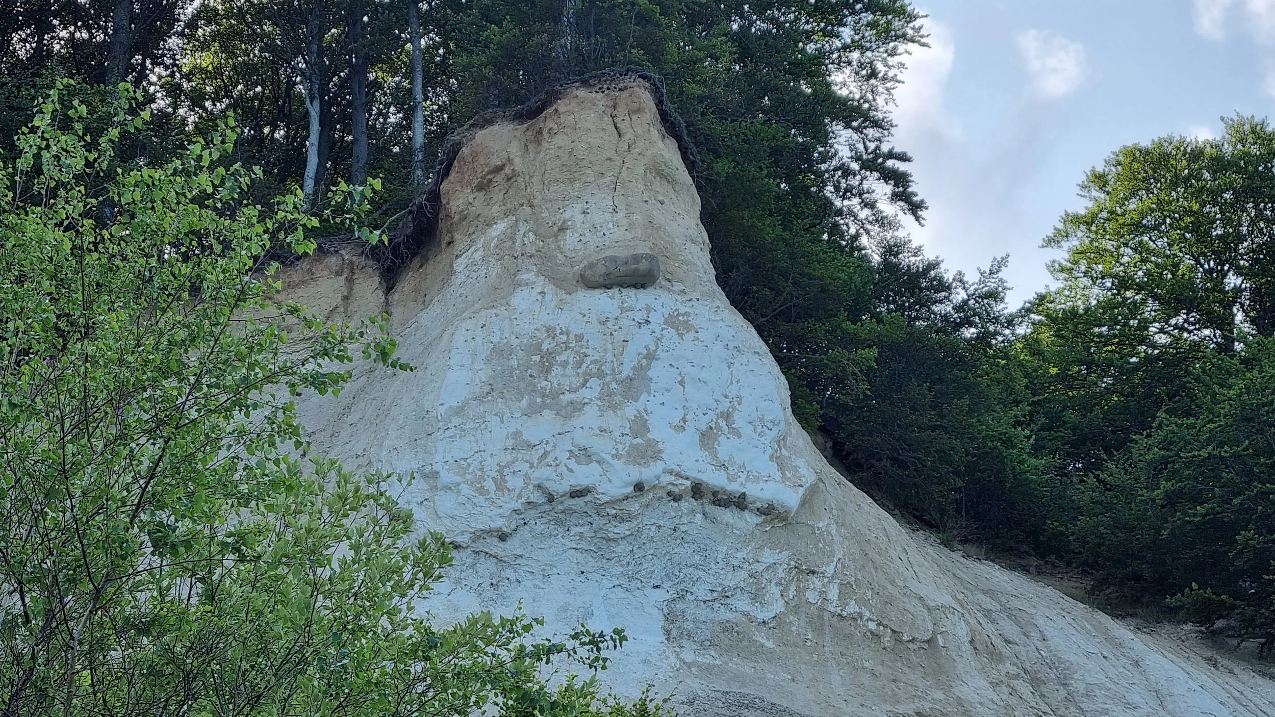 20230714_160728.jpg