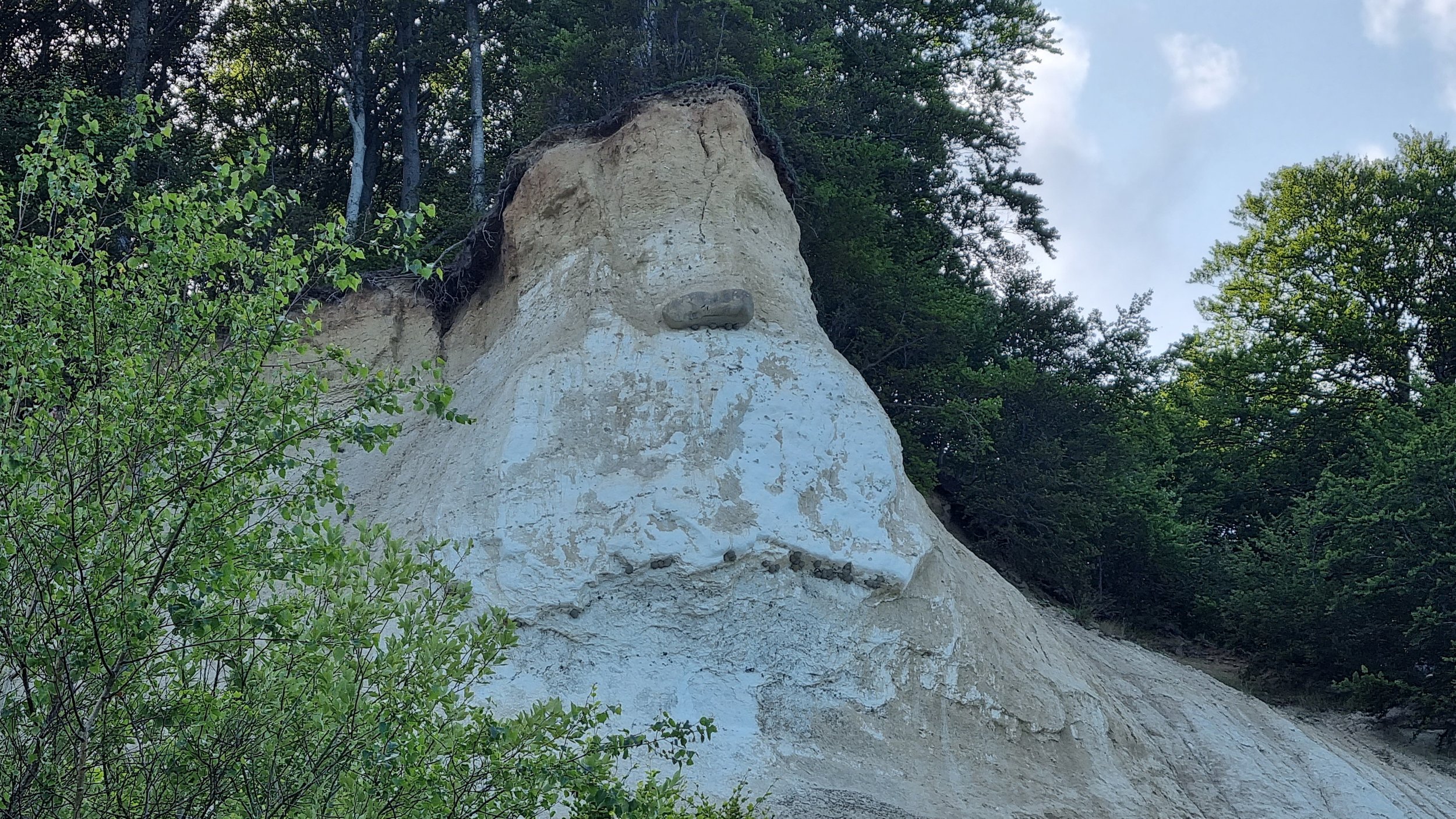 20230714_160728.jpg