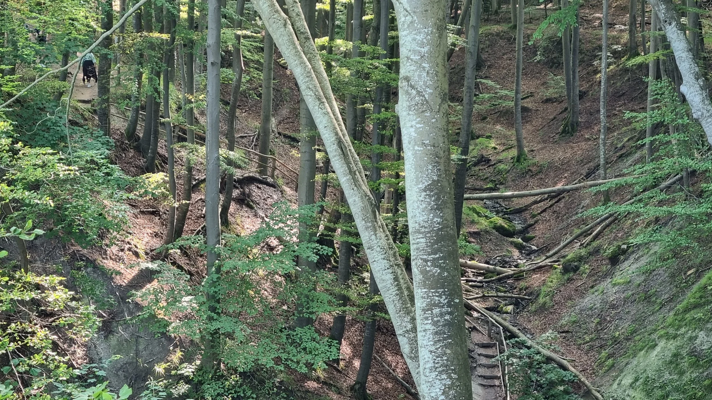 20230714_162756.jpg