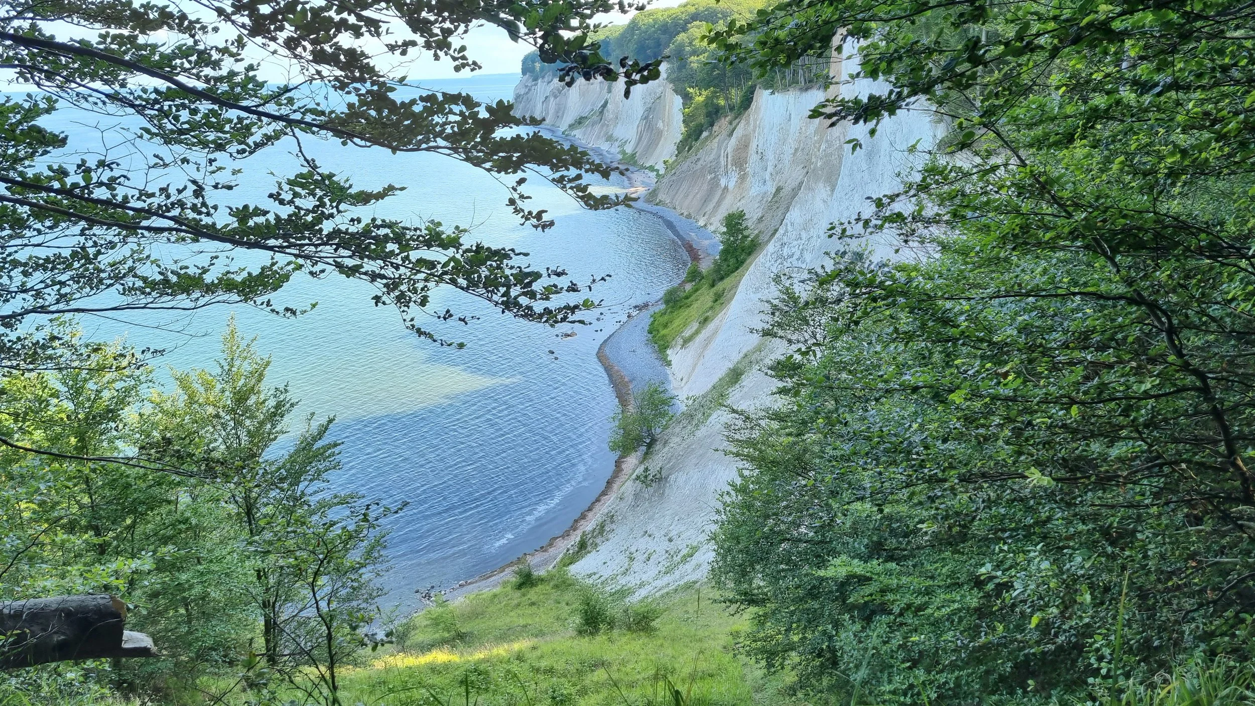 20230714_164648.jpg