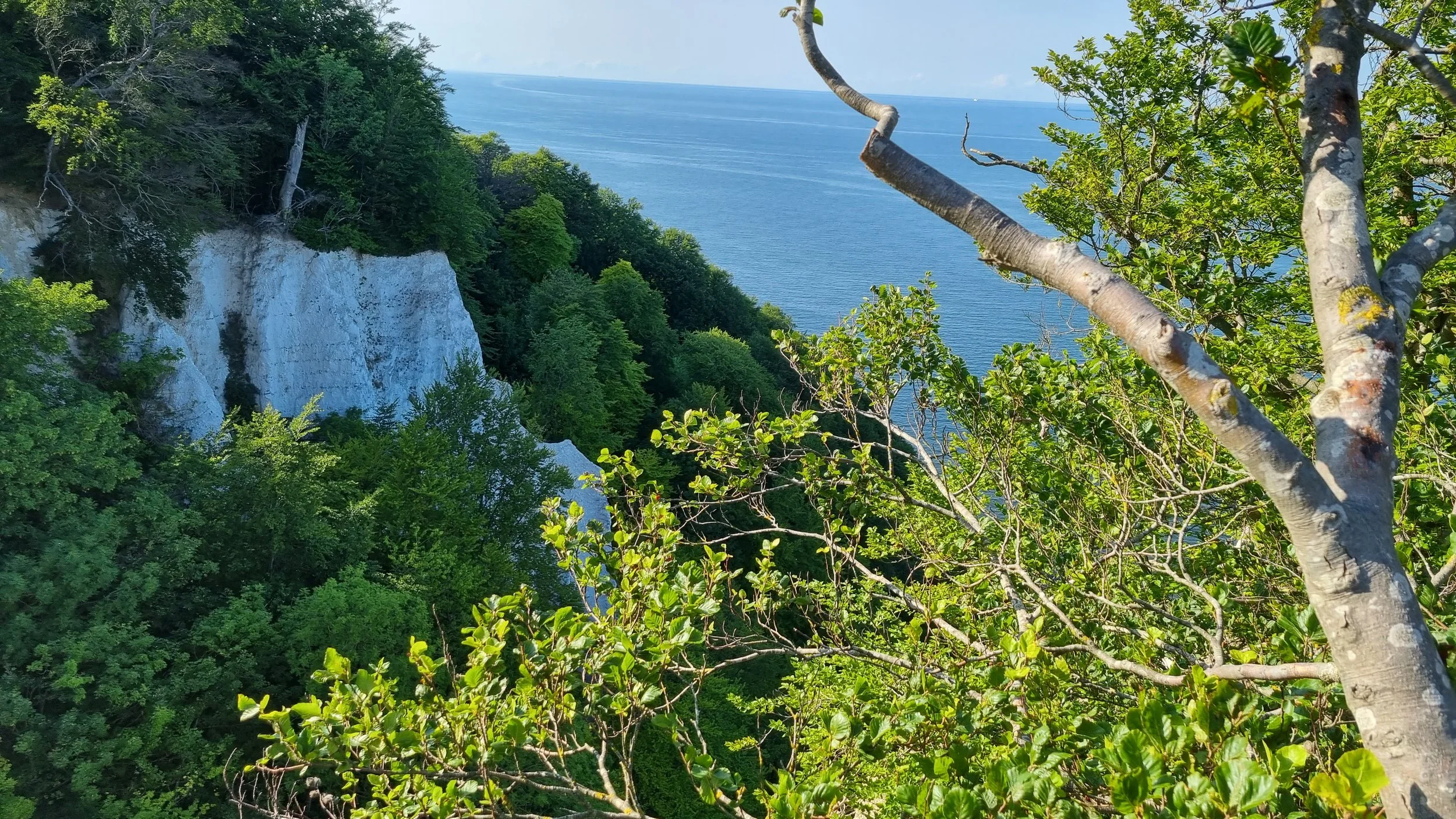 20230714_175543.jpg