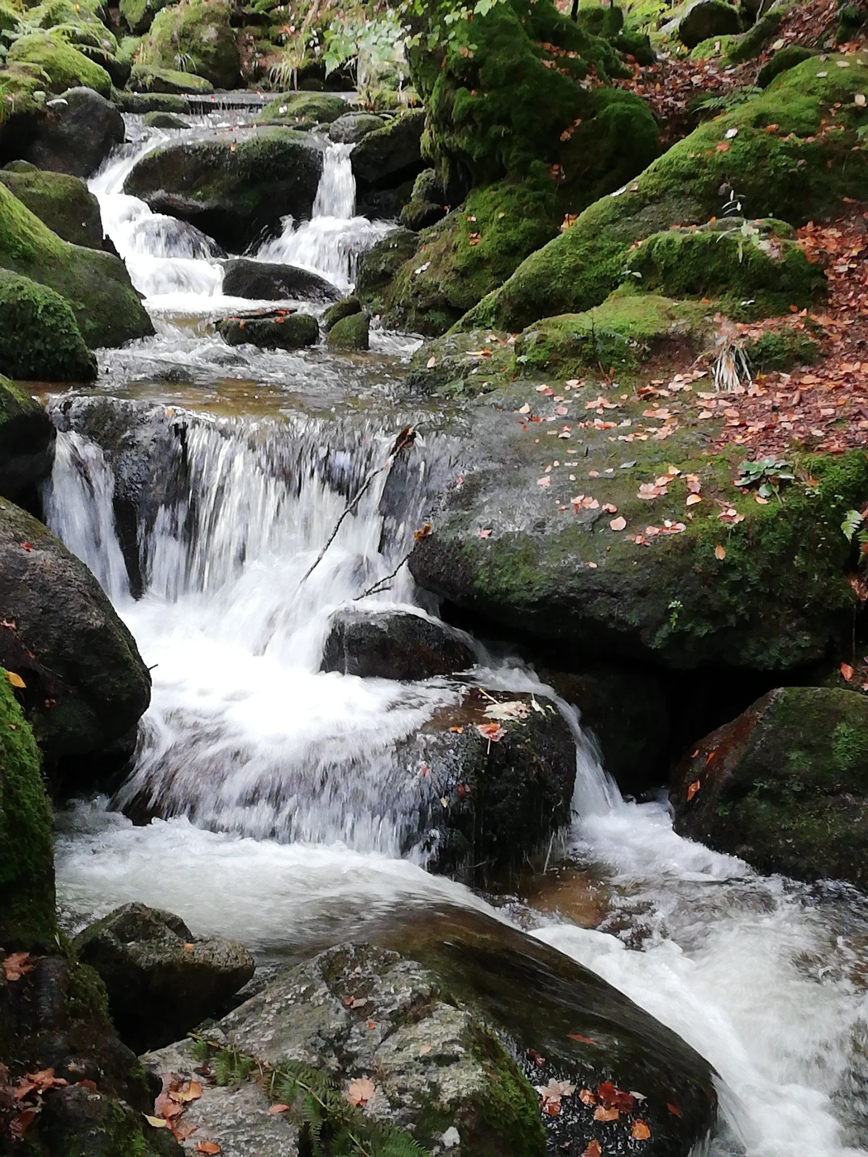 Wasserfalltouren im Nordschwarzwald für Singles and Friends [25.- 26. Juli 2026]