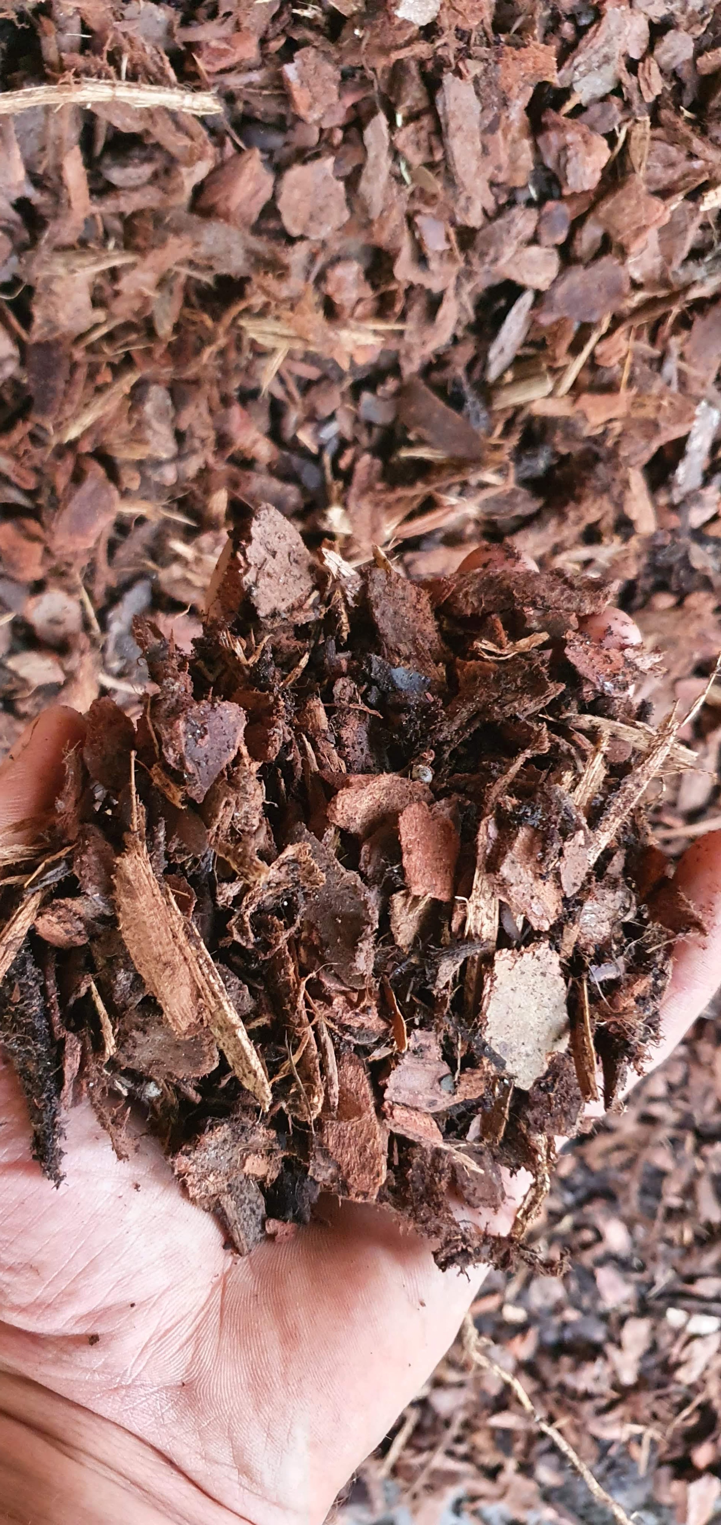 Mulch is Not Optional