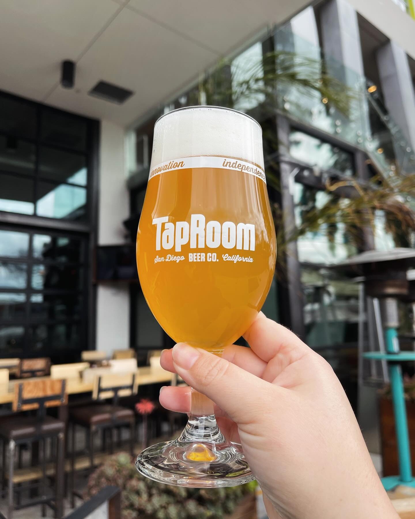 ➡️ NOW AVAILABLE (AGAIN)! ⬅️

Tis the season for TapRoom White! She&rsquo;s back, y&rsquo;all! One of our fav seasonal brews, TapRoom White is a 5.6% ABV Belgian-style Witbier Brewed w/ Coriander, Candied Ginger, Oro Blanco Grapefruit zest, &amp; fre