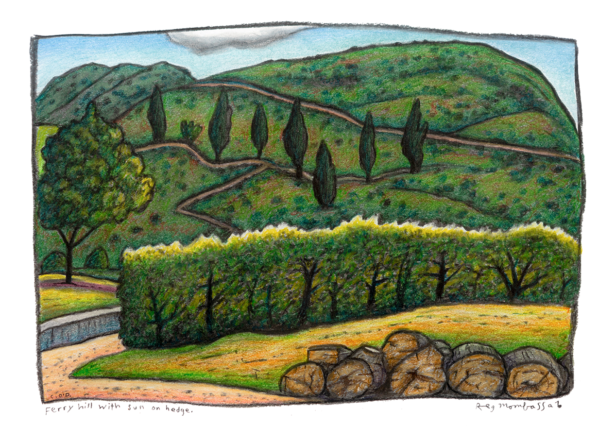 RegMomb_Ferry Hill_Hedge TransPer.png