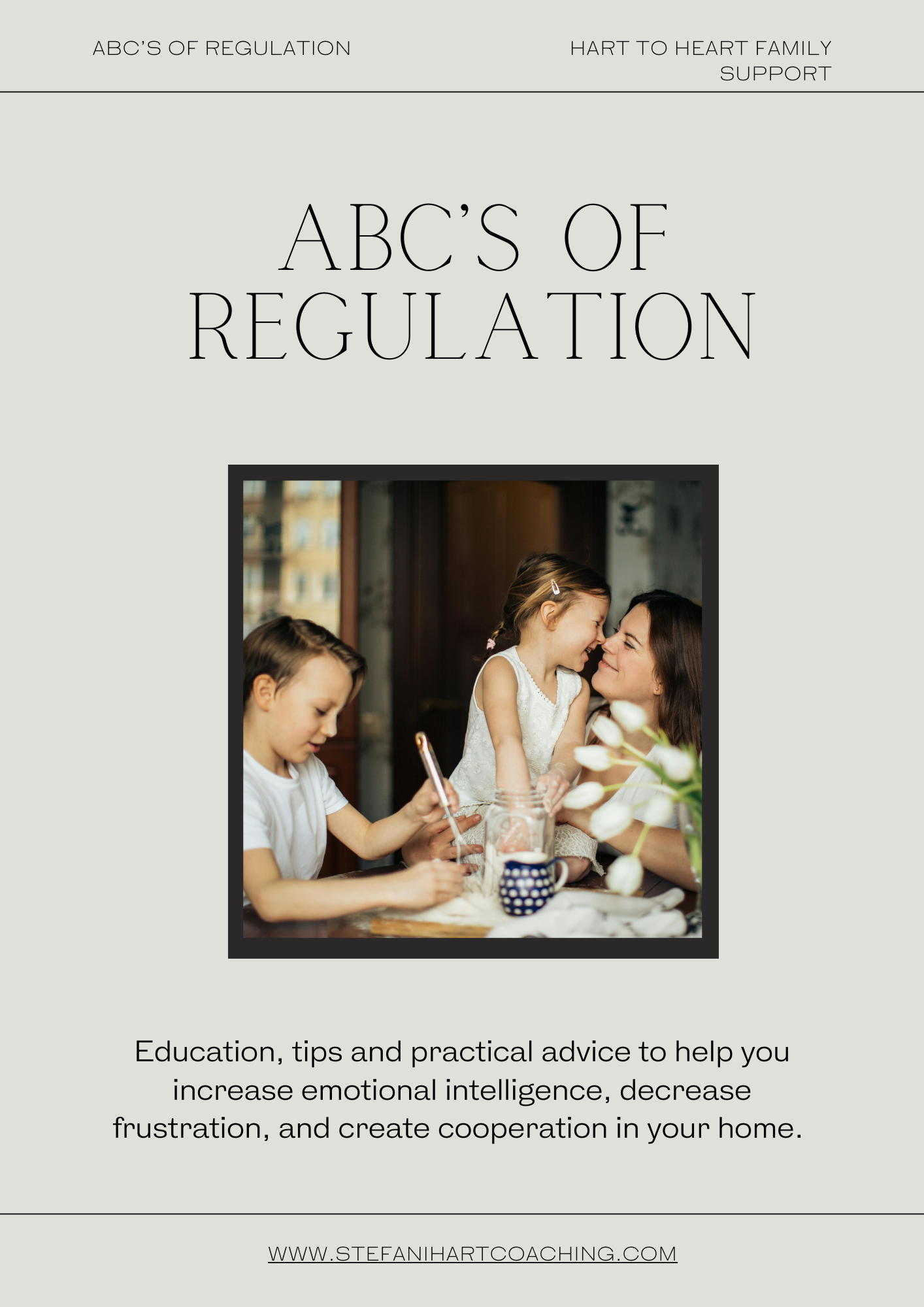 ABCs of Regulation