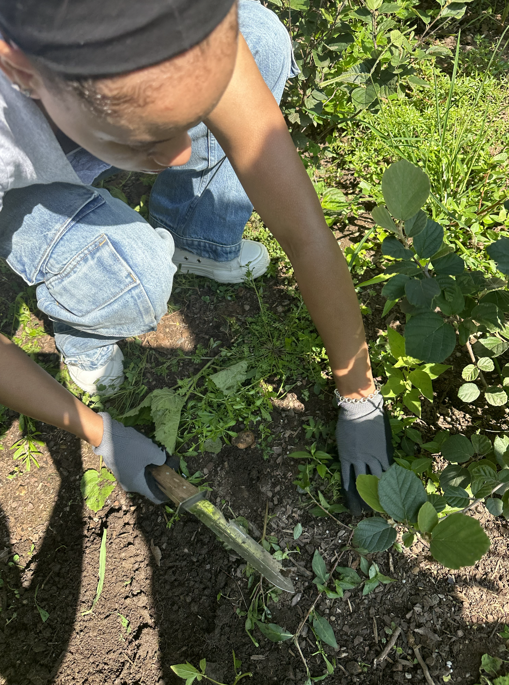 Screen Shot 2023-07-29 at 4.48.27 PM.png