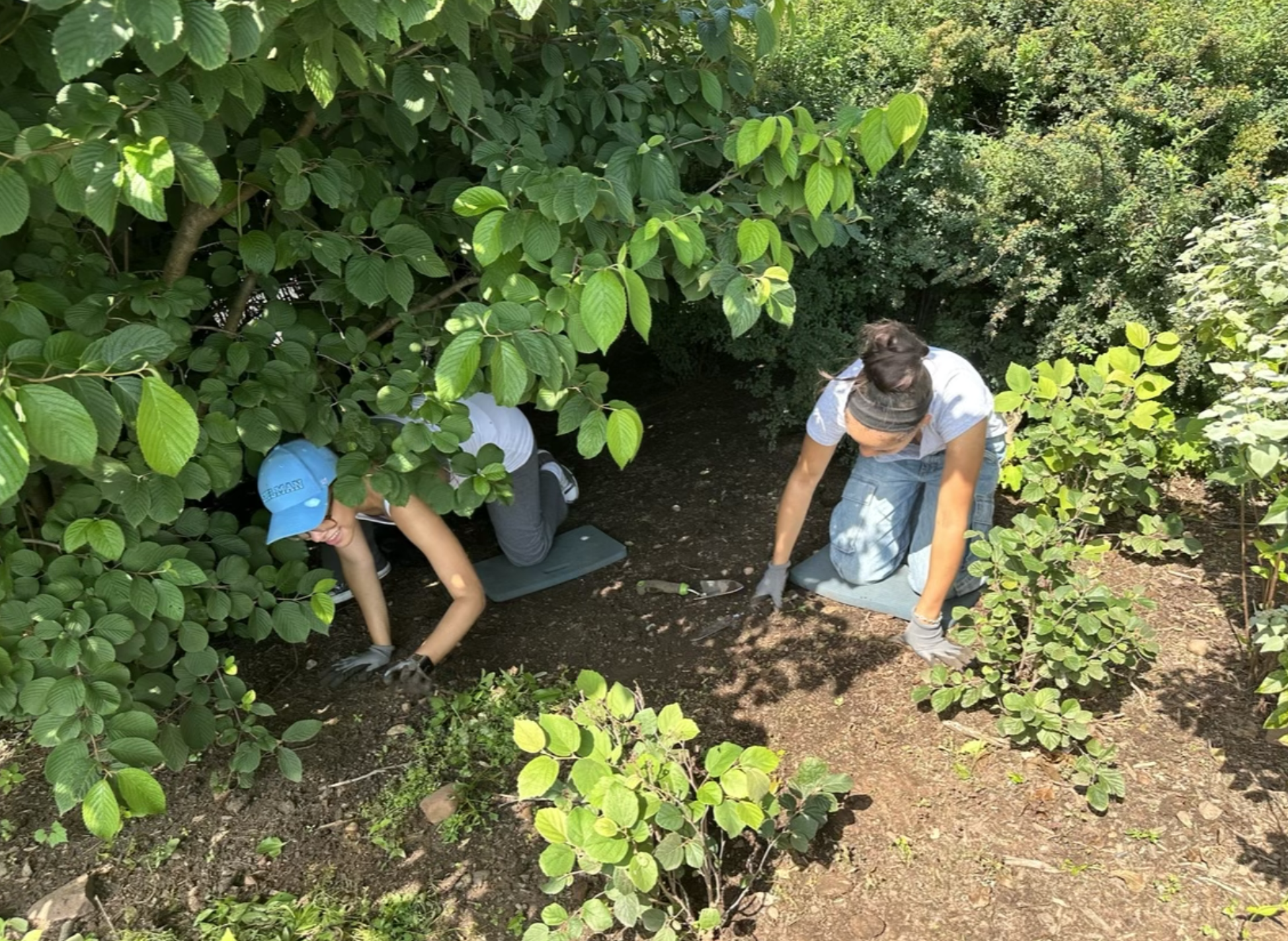 Screen Shot 2023-07-29 at 8.28.28 PM.png