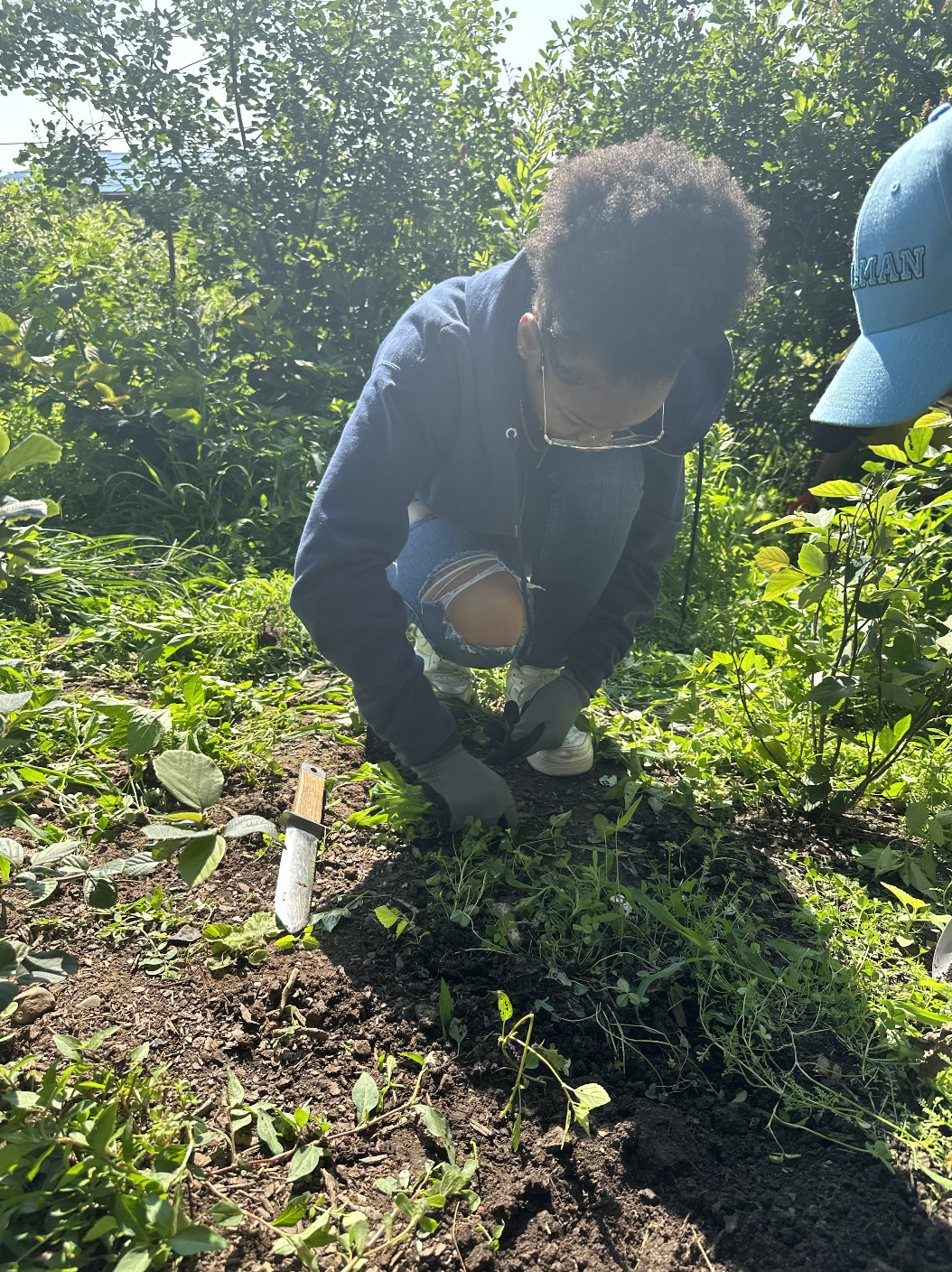 Screen Shot 2023-07-29 at 4.48.44 PM.png