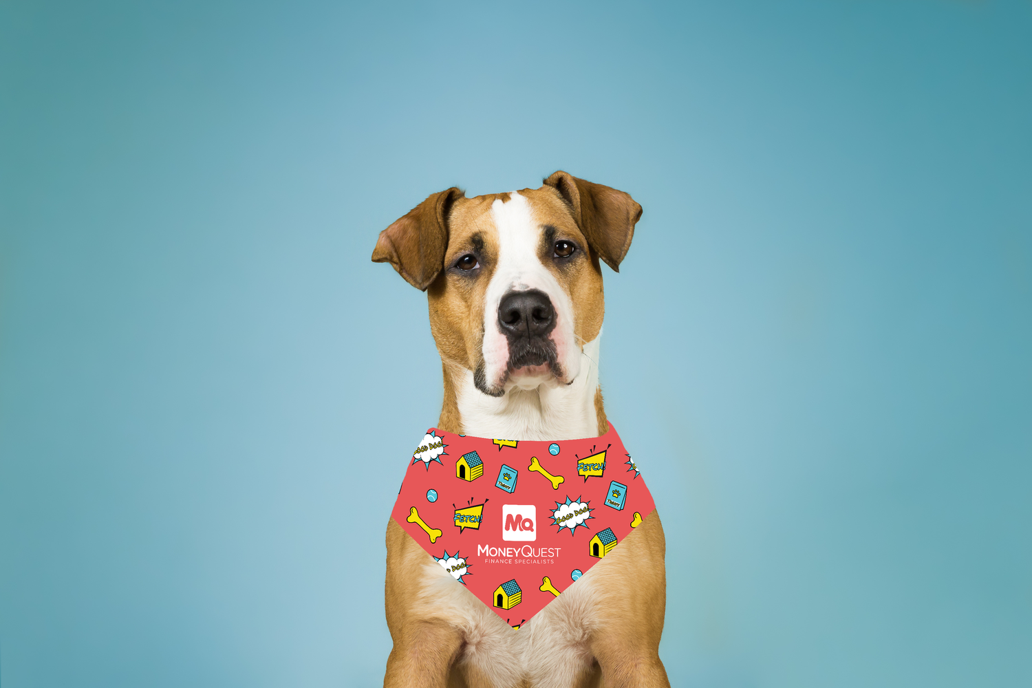 Dog+Bandana+Option+1_Mockup.png
