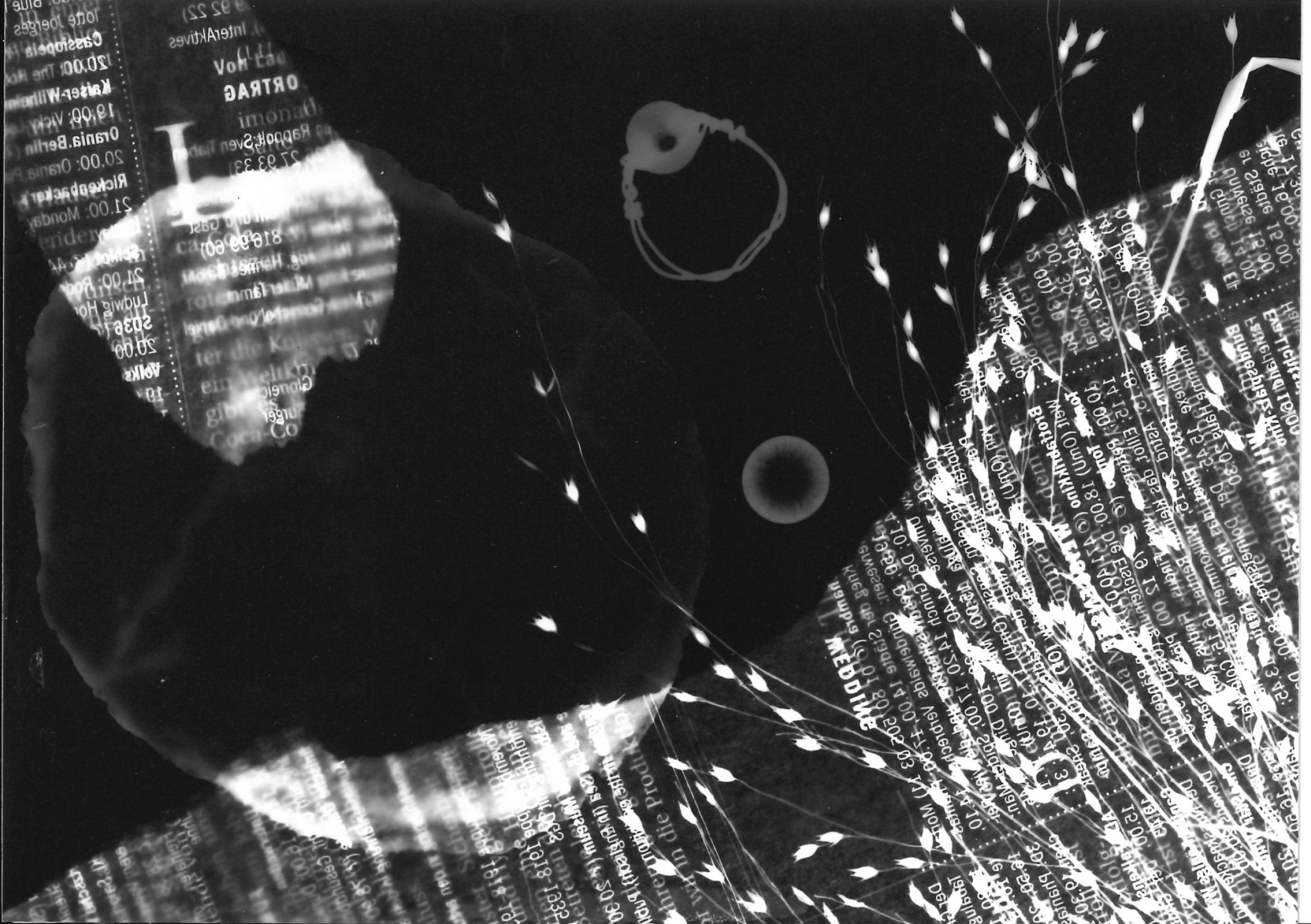 Analoge Fotografie 1