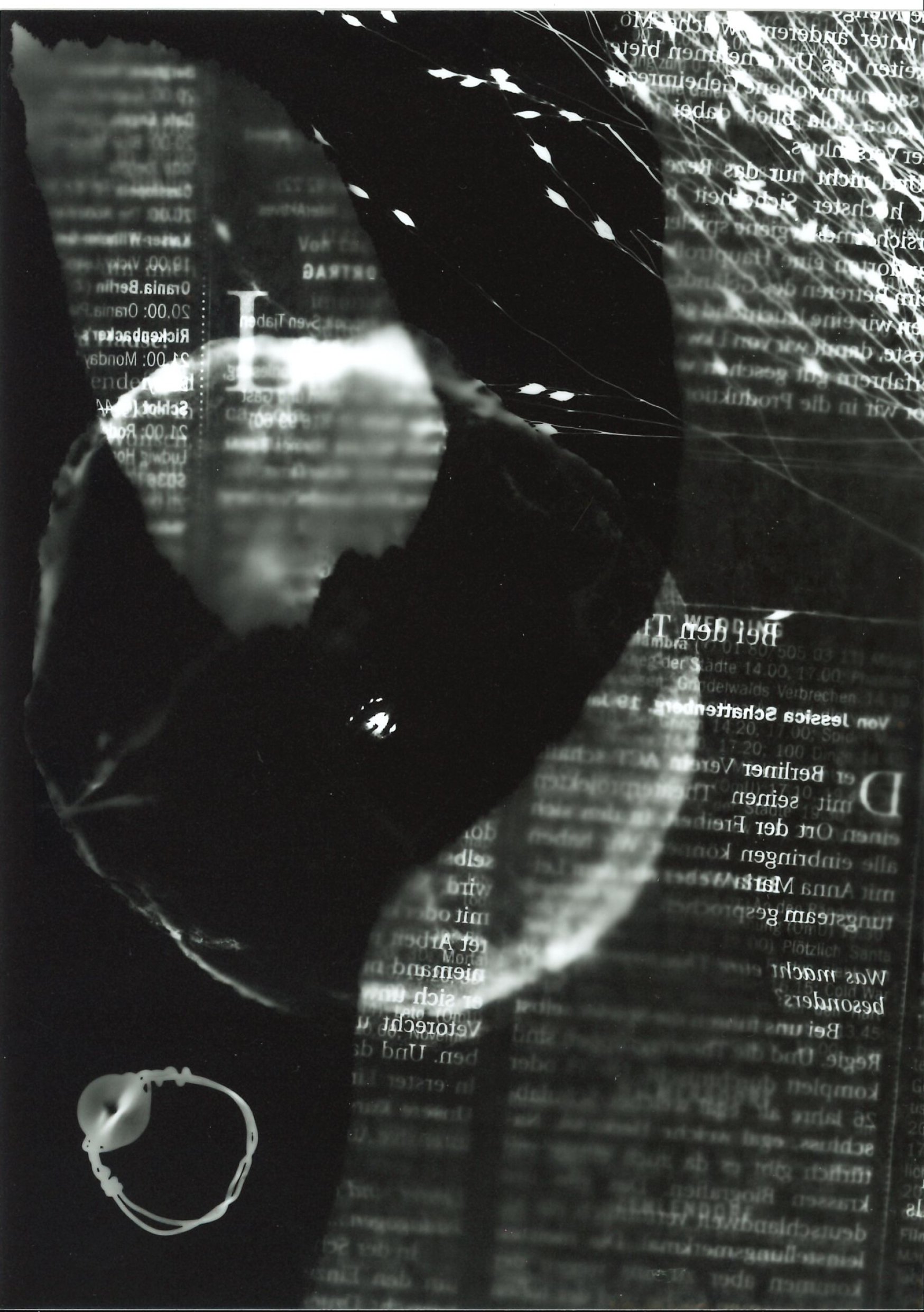 Analoge Fotografie 2