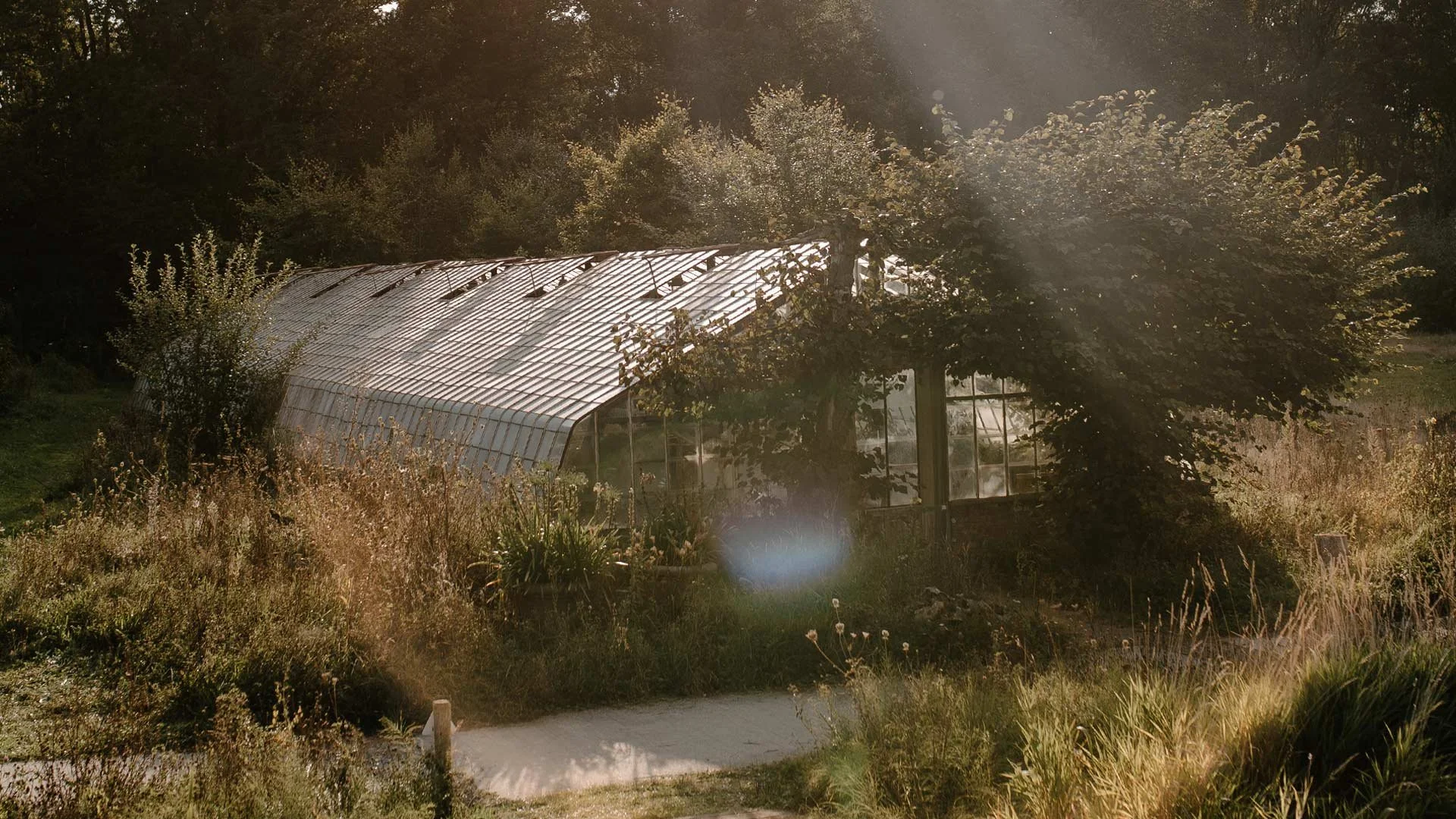 Inter Scaldes X Treeswijkhoeve