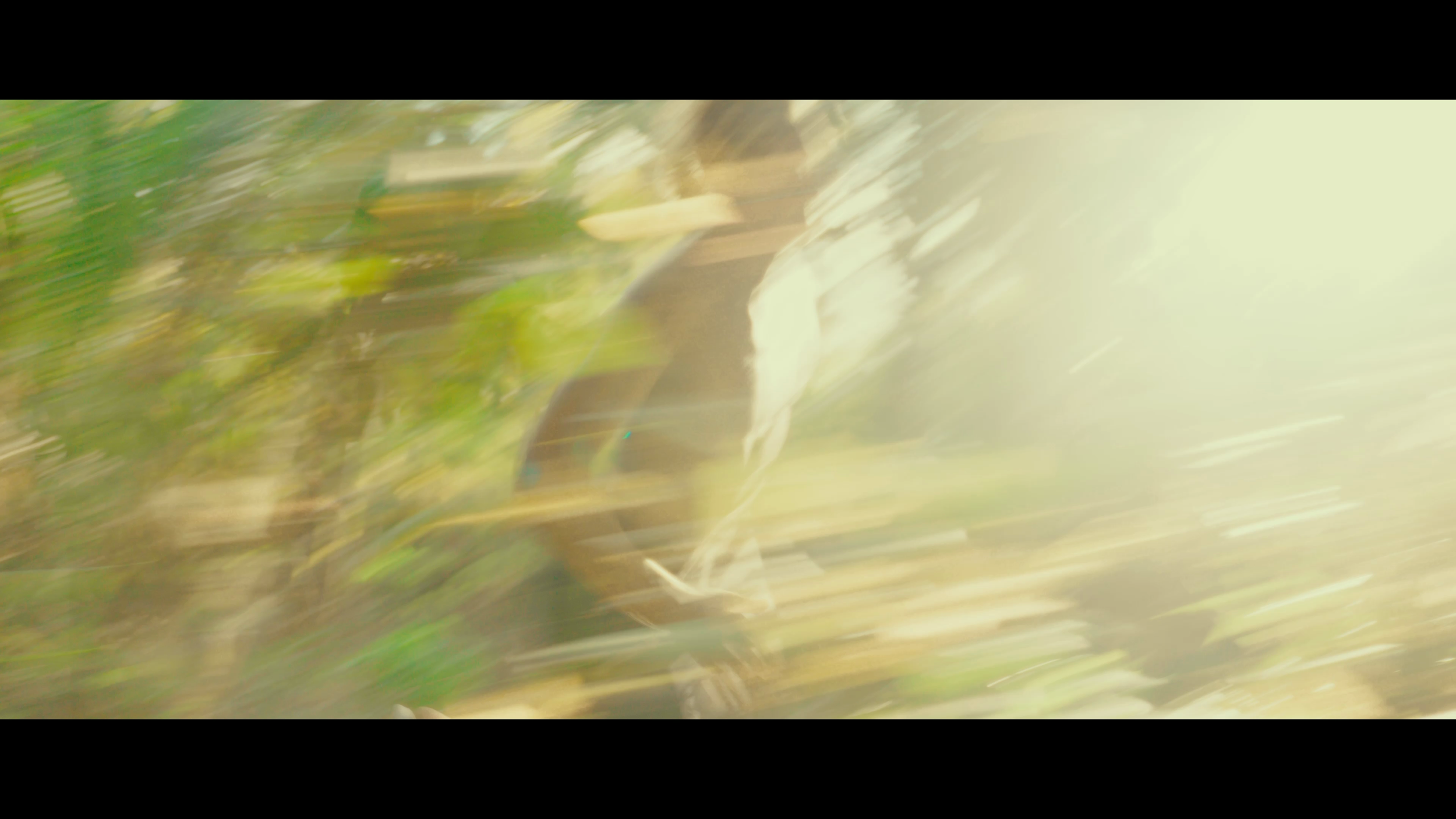 Genesis -_00014.png