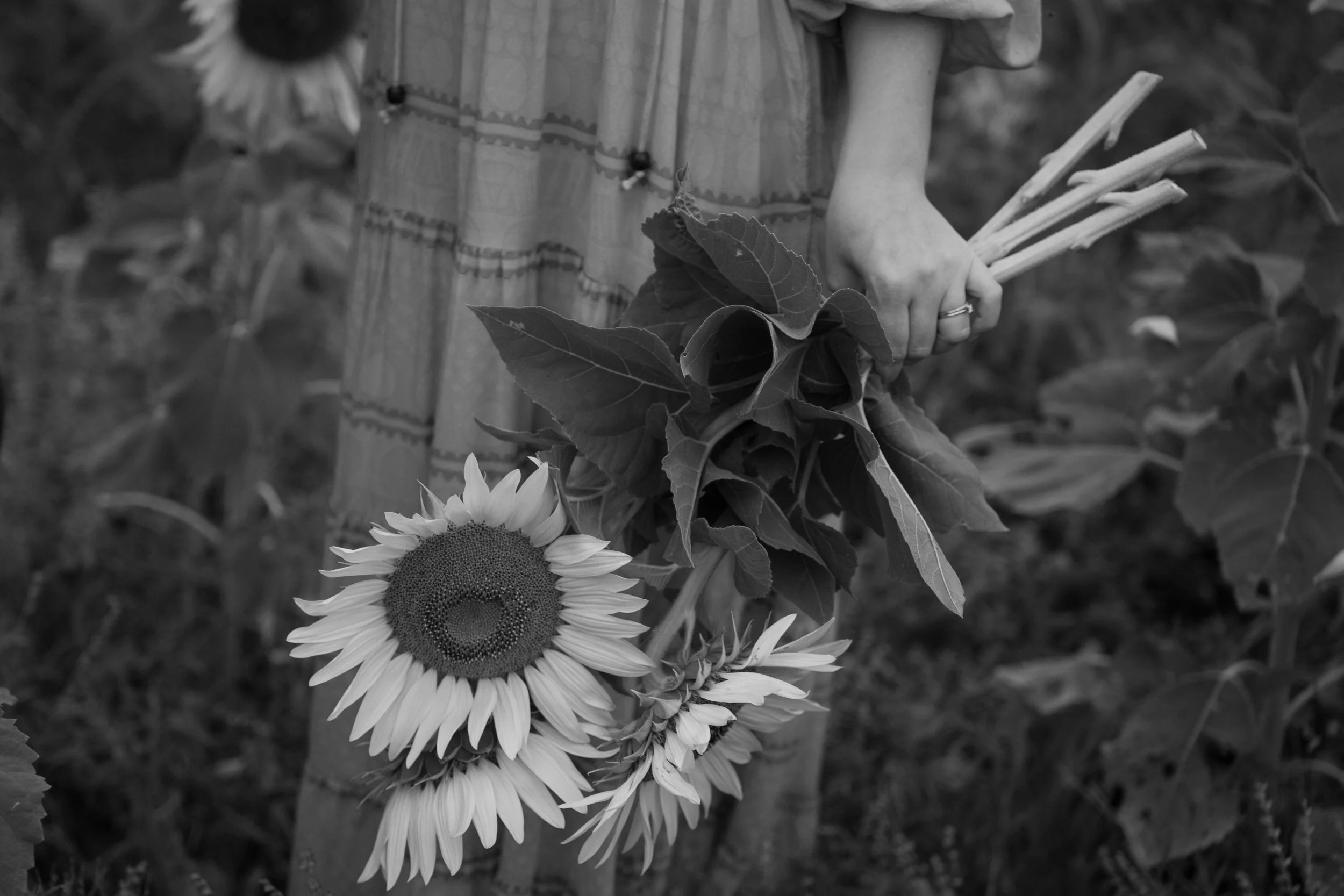 Here&NowPhotography-Highlights-16.jpg