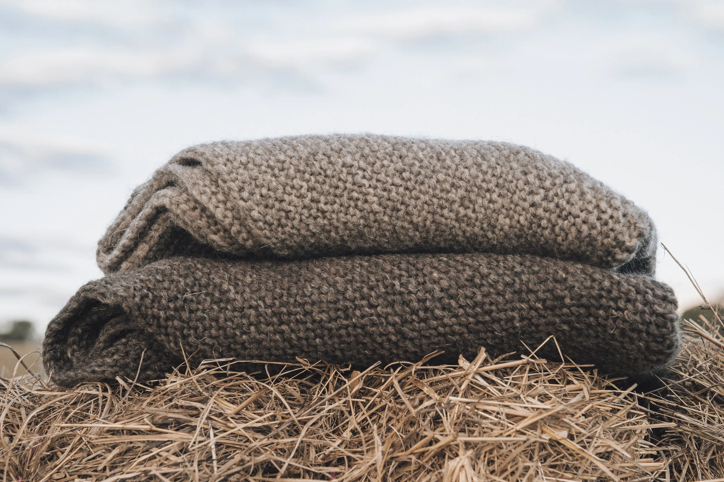 Here&NowPhotography-103.jpg