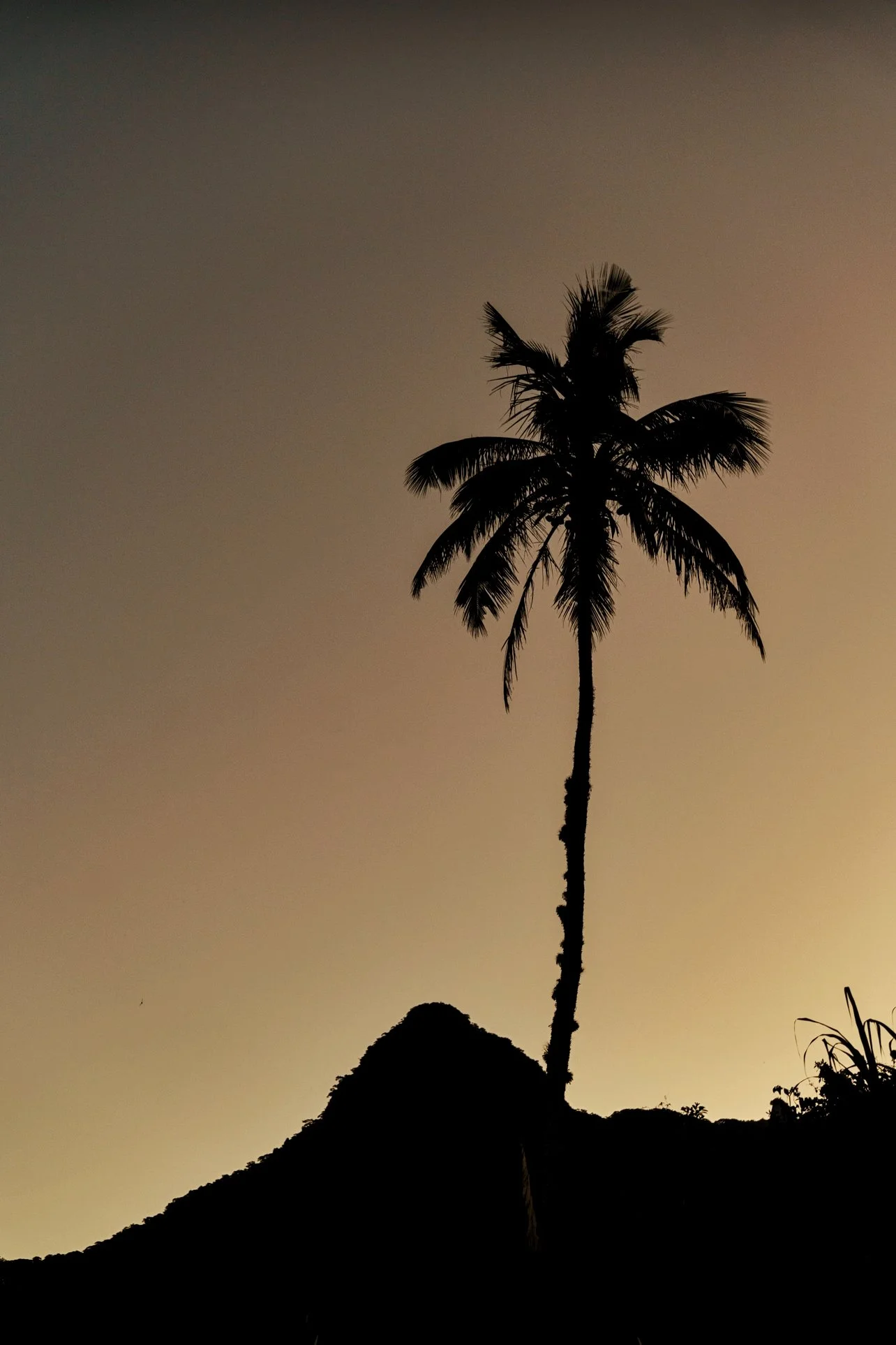 Ilha Grande