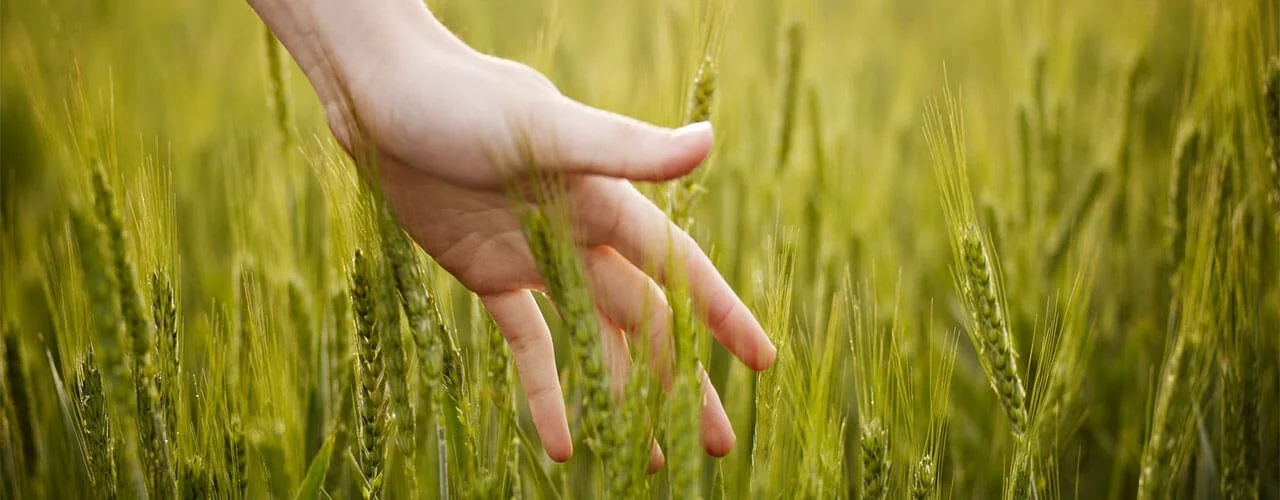 We Know Not Through Our Intellect But Through Our...