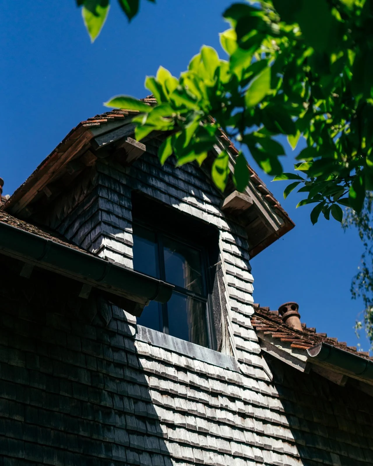 @charleshemon -DSC06084.jpg