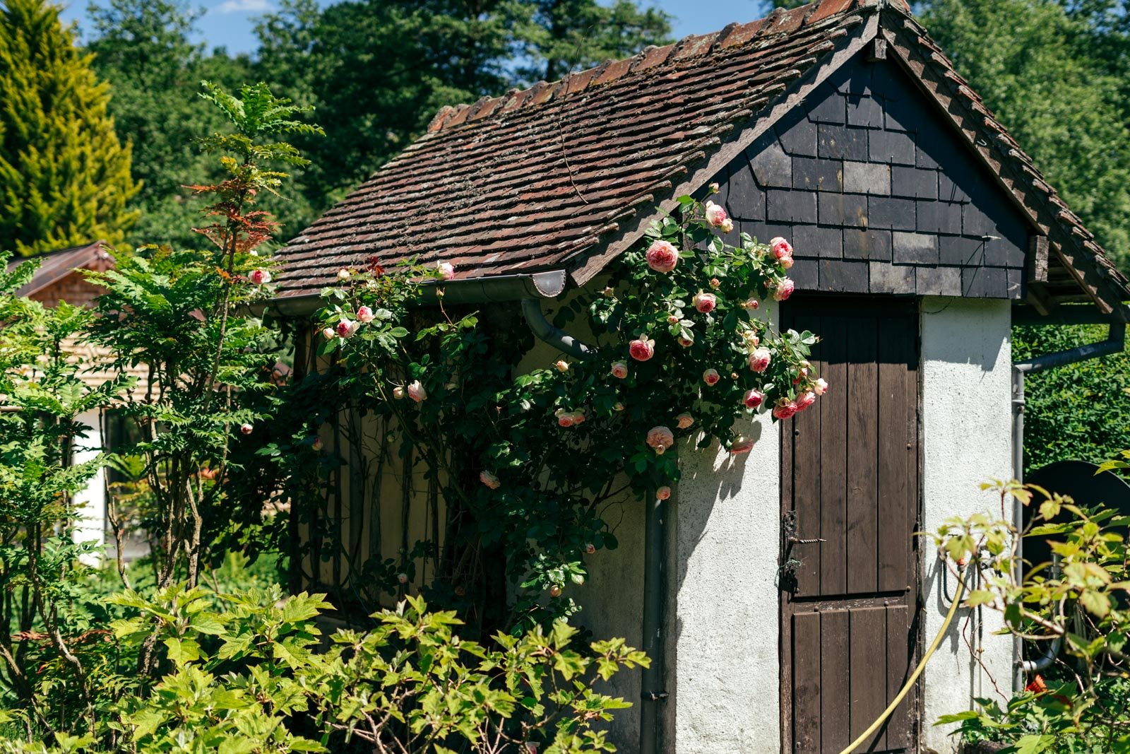 @charleshemon -DSC06111.jpg