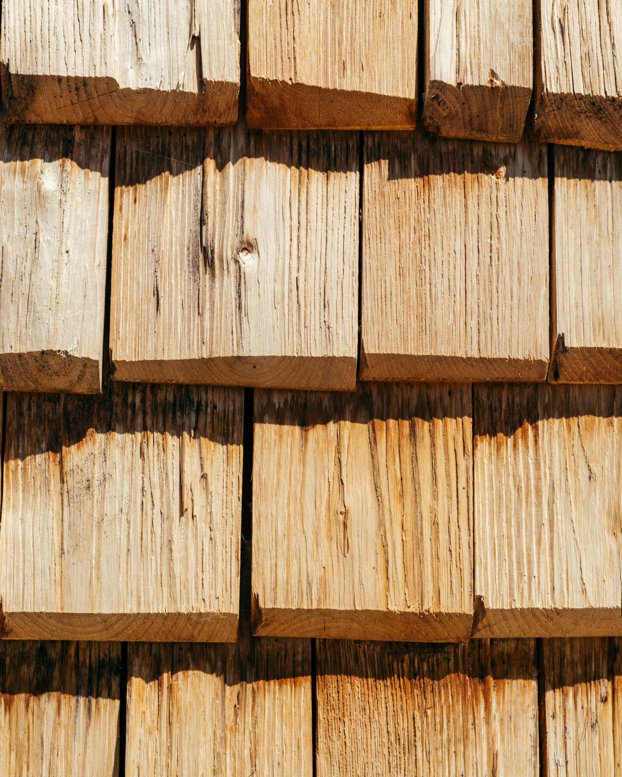 @charleshemon -DSC06073.jpg