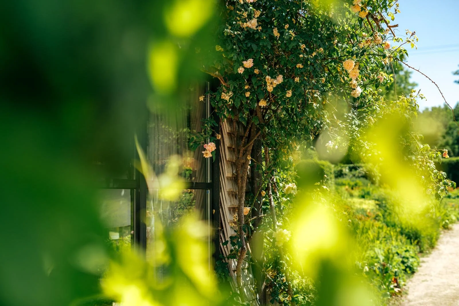 @charleshemon -DSC06120.jpg