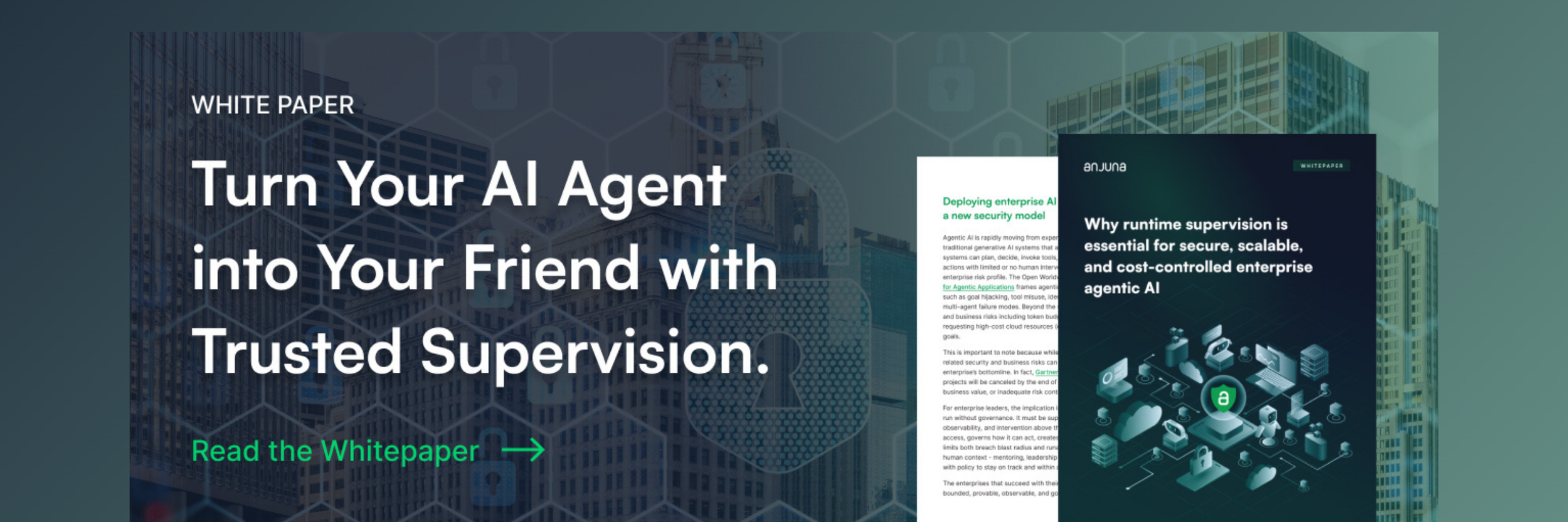 Anjuna Whitepaper