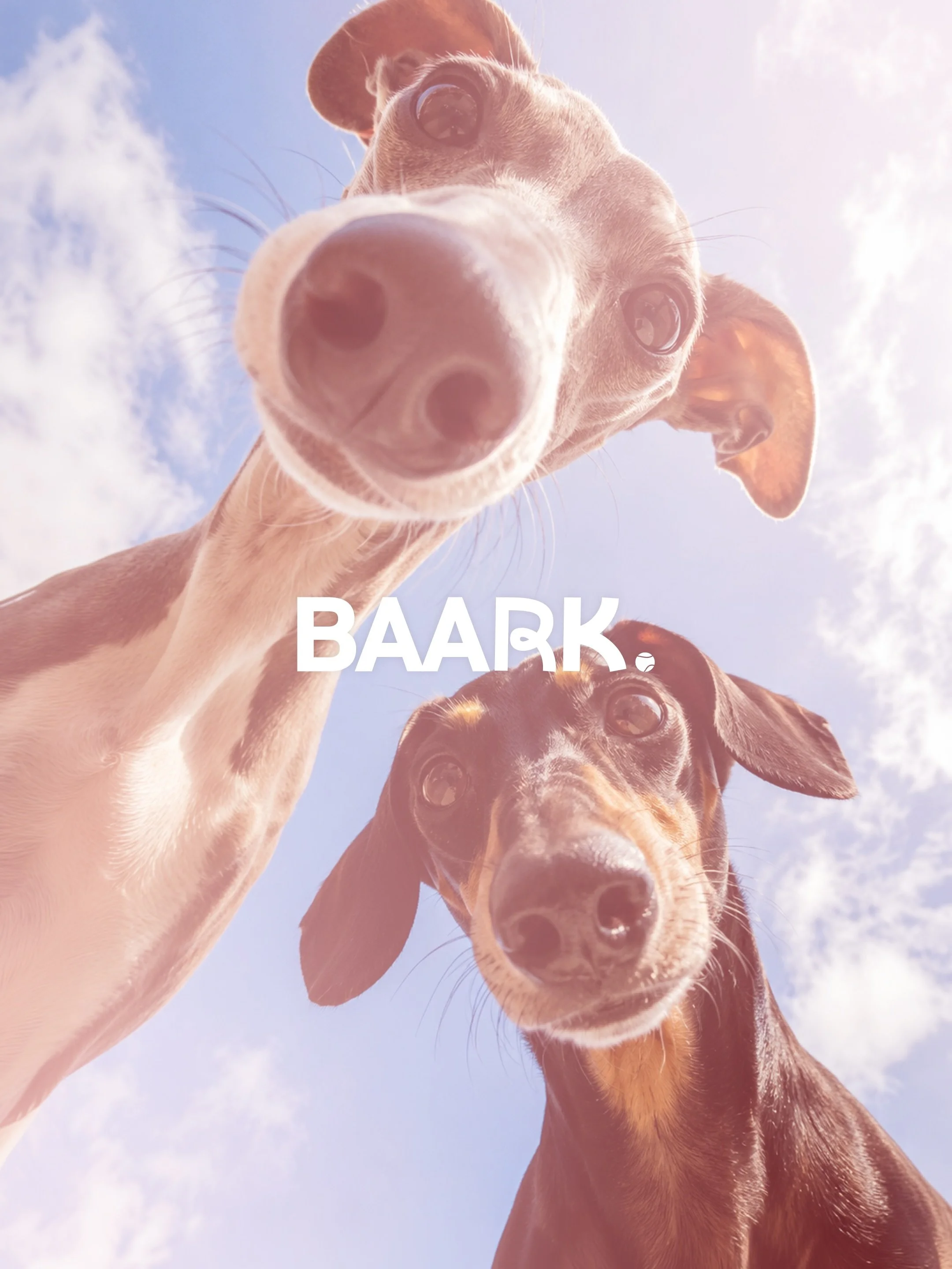 BAARK. 🎾 
Bespoke branding for Melbourne dog grooming boutique, Baark. 
The brief was to create something fun, timeless and free from the usual pet clich&eacute;s. 
The result is an identity finished with a subtle nod to one of every dog&rsquo;s fav