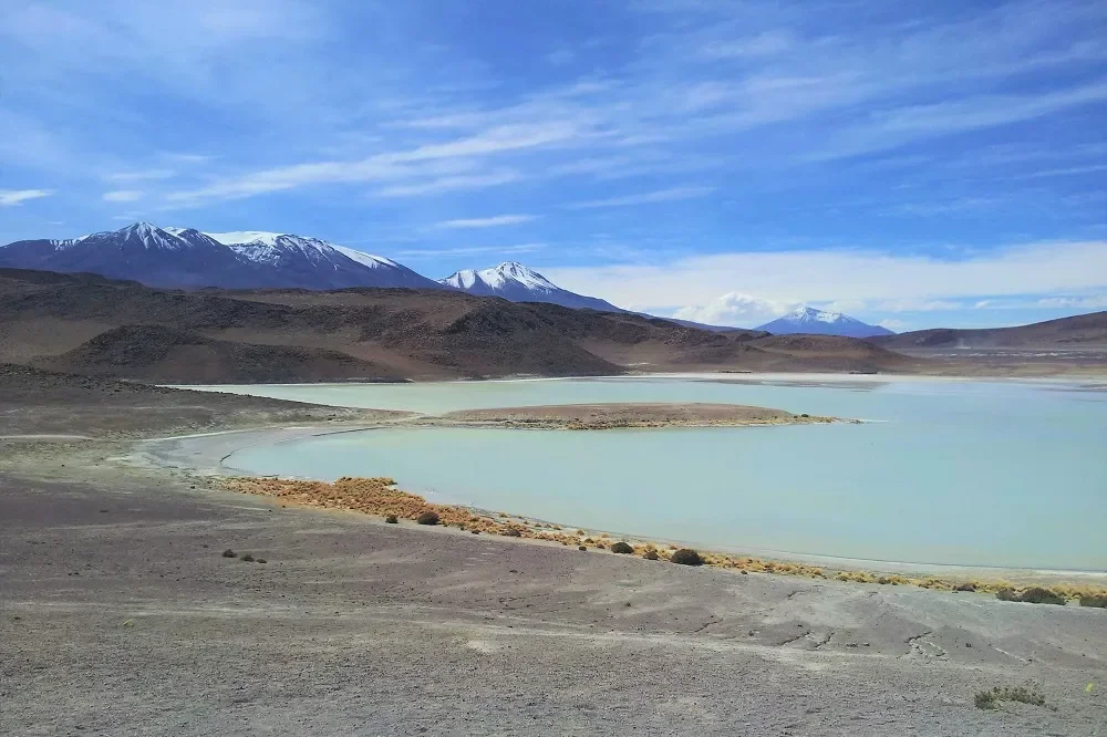 Eduardo Alvaroa Reserve 2.webp