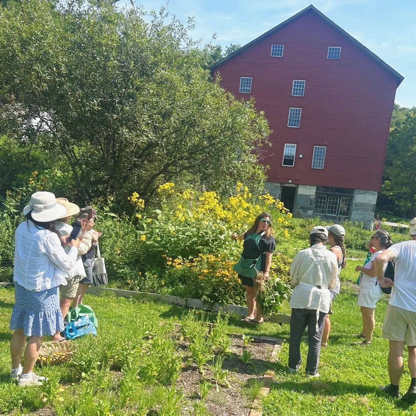 Tinctures and Herbal Teas was a fantastic workshop over the weekend, thanks to all that came out 🌿

If you missed it, but want to check out future nature and homestead workshops by Sarah Latifa, go over to theabode.org/programs

Next Workshops:

Eld