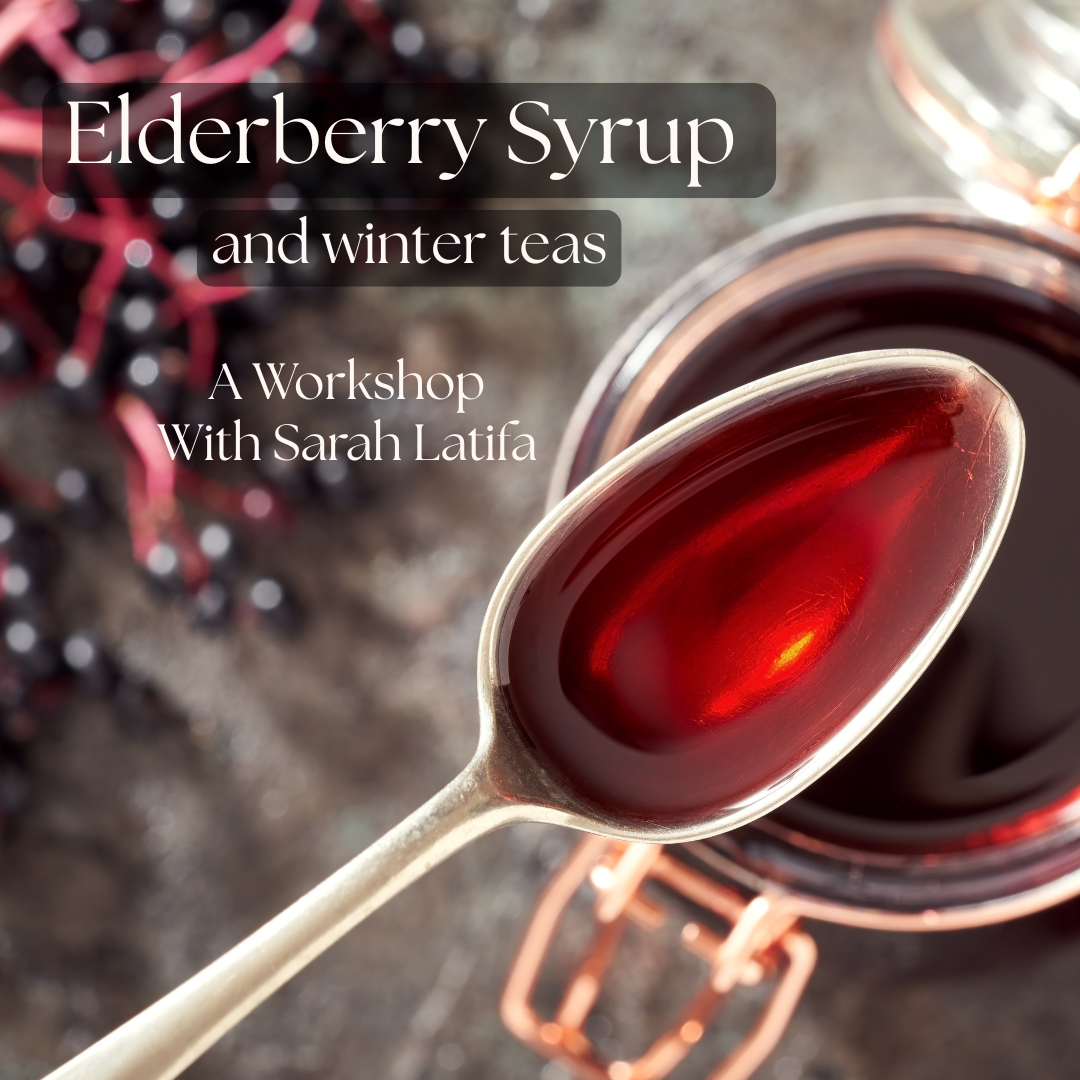 Elderberry and Winter Tea Workshop - With Sarah Latifa