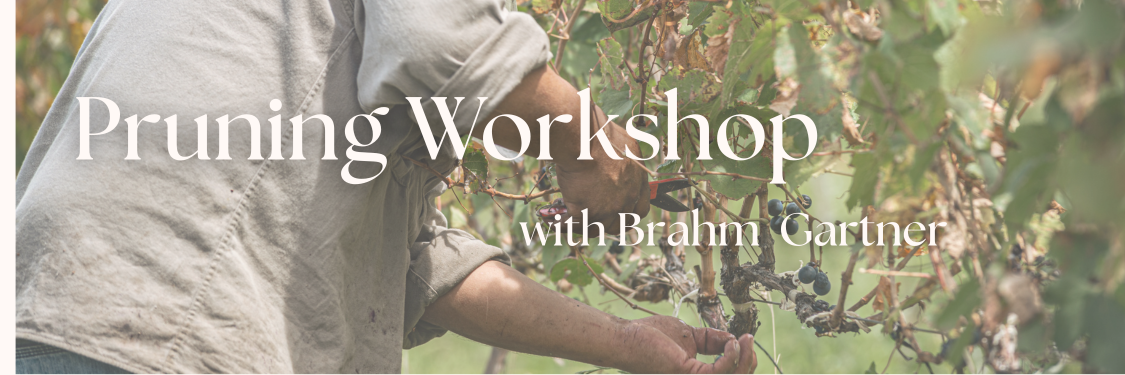Pruning Workshop - With Brahm Gartner