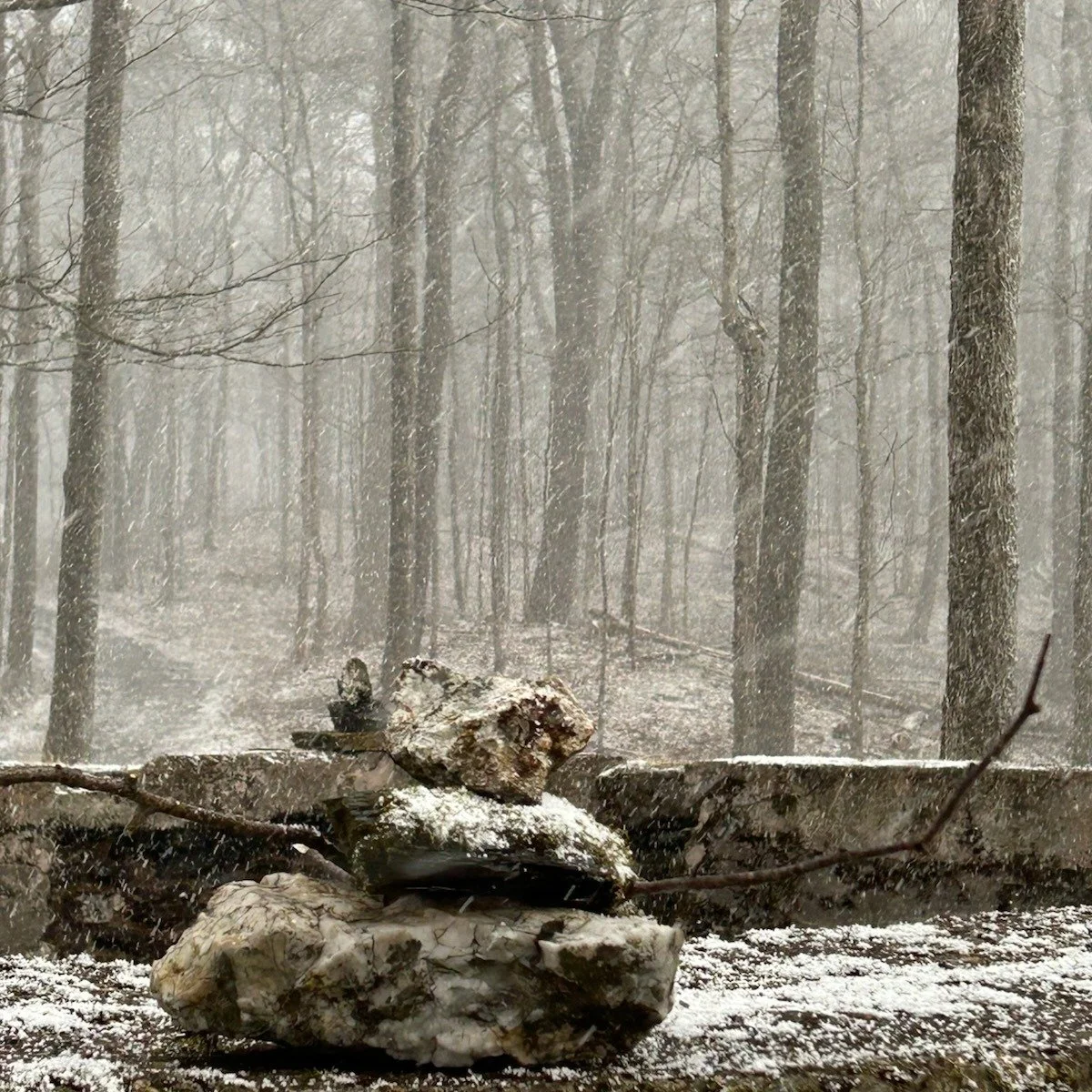 We received our first snowfall earlier this week. The mountain was blanketed with fresh snow, steps crunching on the walk up, and the campus glimmered quietly in it's first wintery scene for the season. 

This season is always such a cozy one here, a