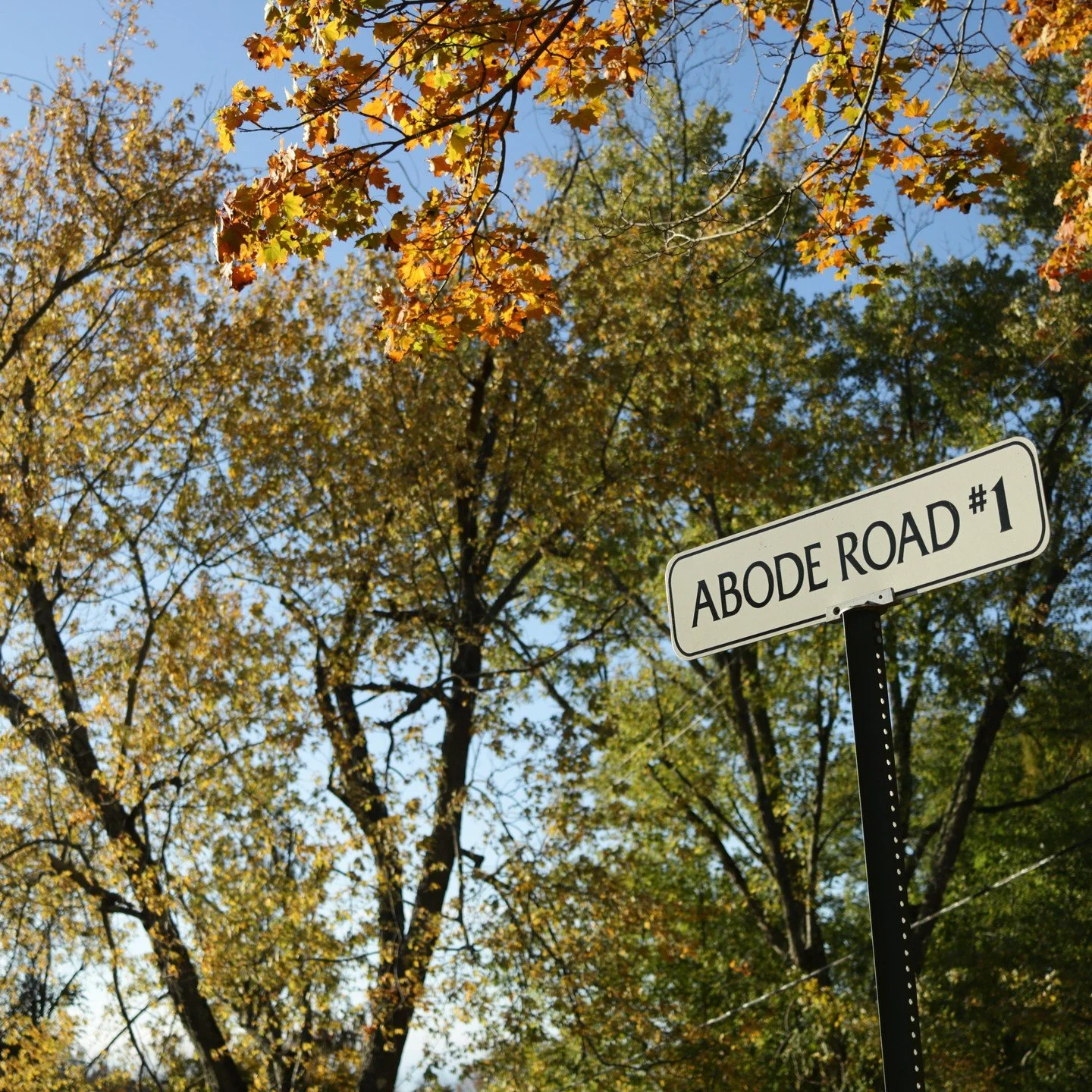 As we officially stroll into 2026, we are reminded of what a beautiful year 2025 was.

We celebrated our 50th anniversary here at the Abode, hosted wonderful teachers and programs, nurtured old friendships, and welcomed new ones in. We are continuall