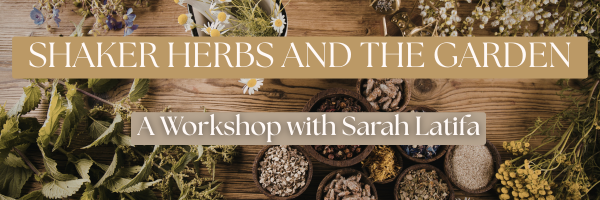 Shaker Herbs and the Medicinal Garden
