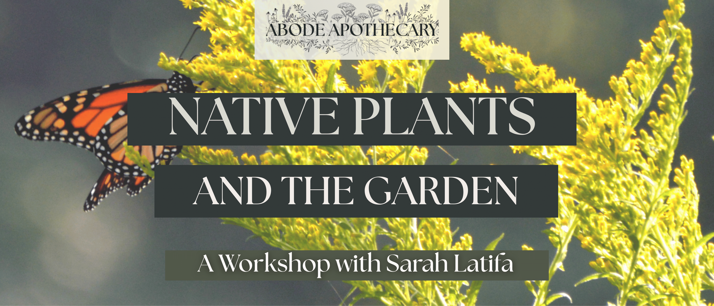 Native Plants and the Garden