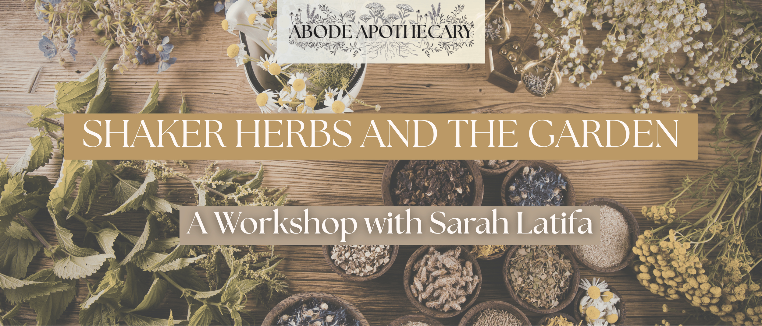 Shaker Herbs and the Medicinal Garden