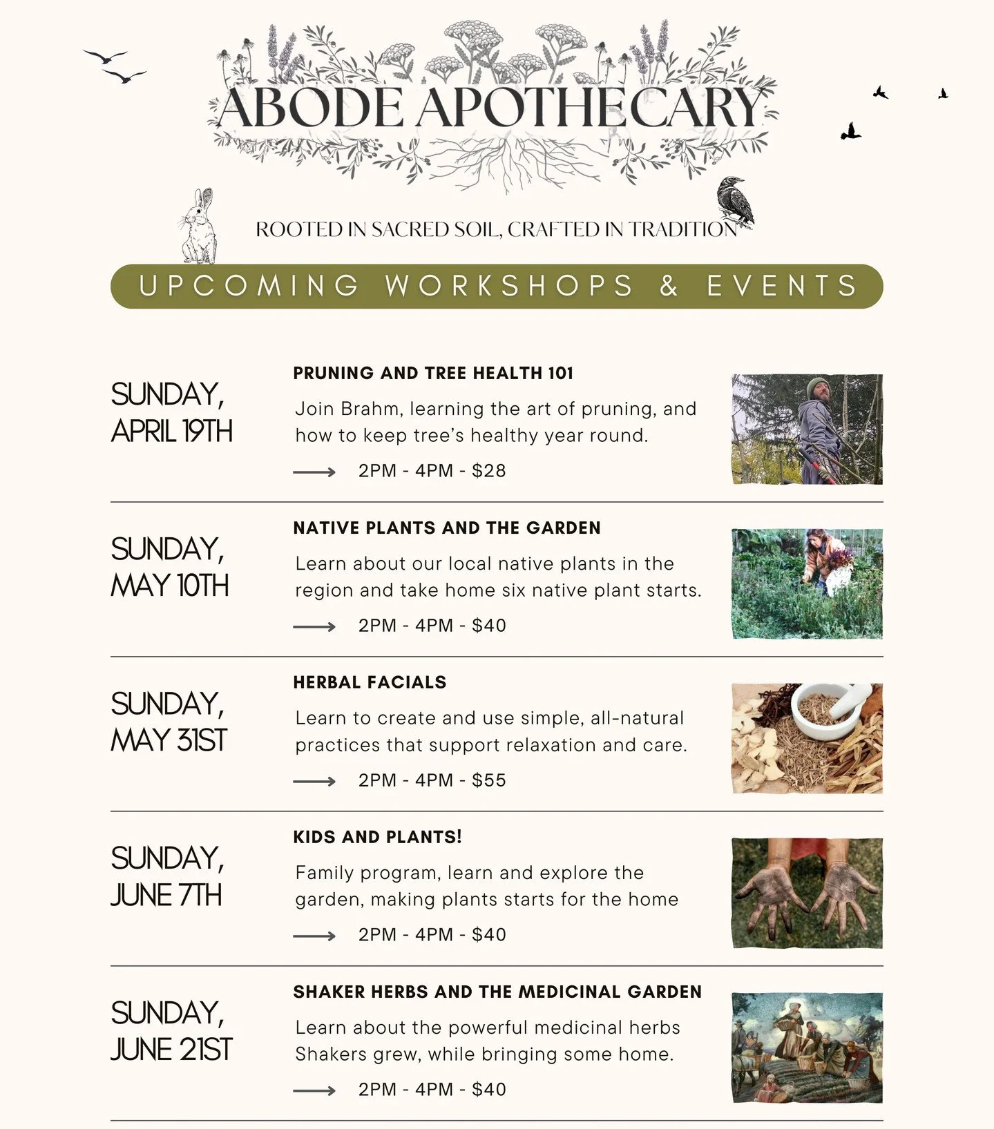 Spring is peeking around the corner, and that means we're ready for another year of Apothecary Workshops 🌿🌾

Join us for one (or more!) of these creative gatherings designed to deepen your skills and knowledge of the useful plants growing in and ar