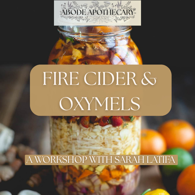 Firecider and Oxymels Workshop