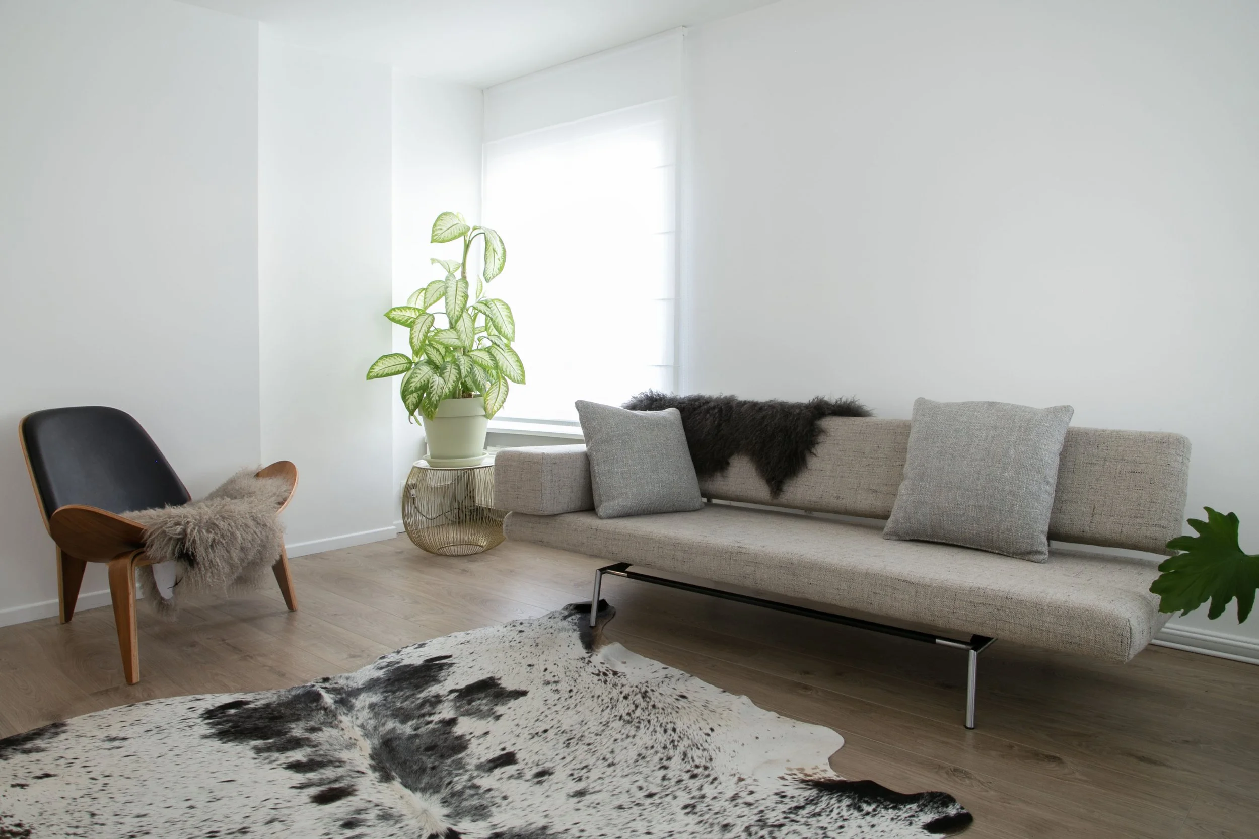 IMG_0456 kopiëren.jpg