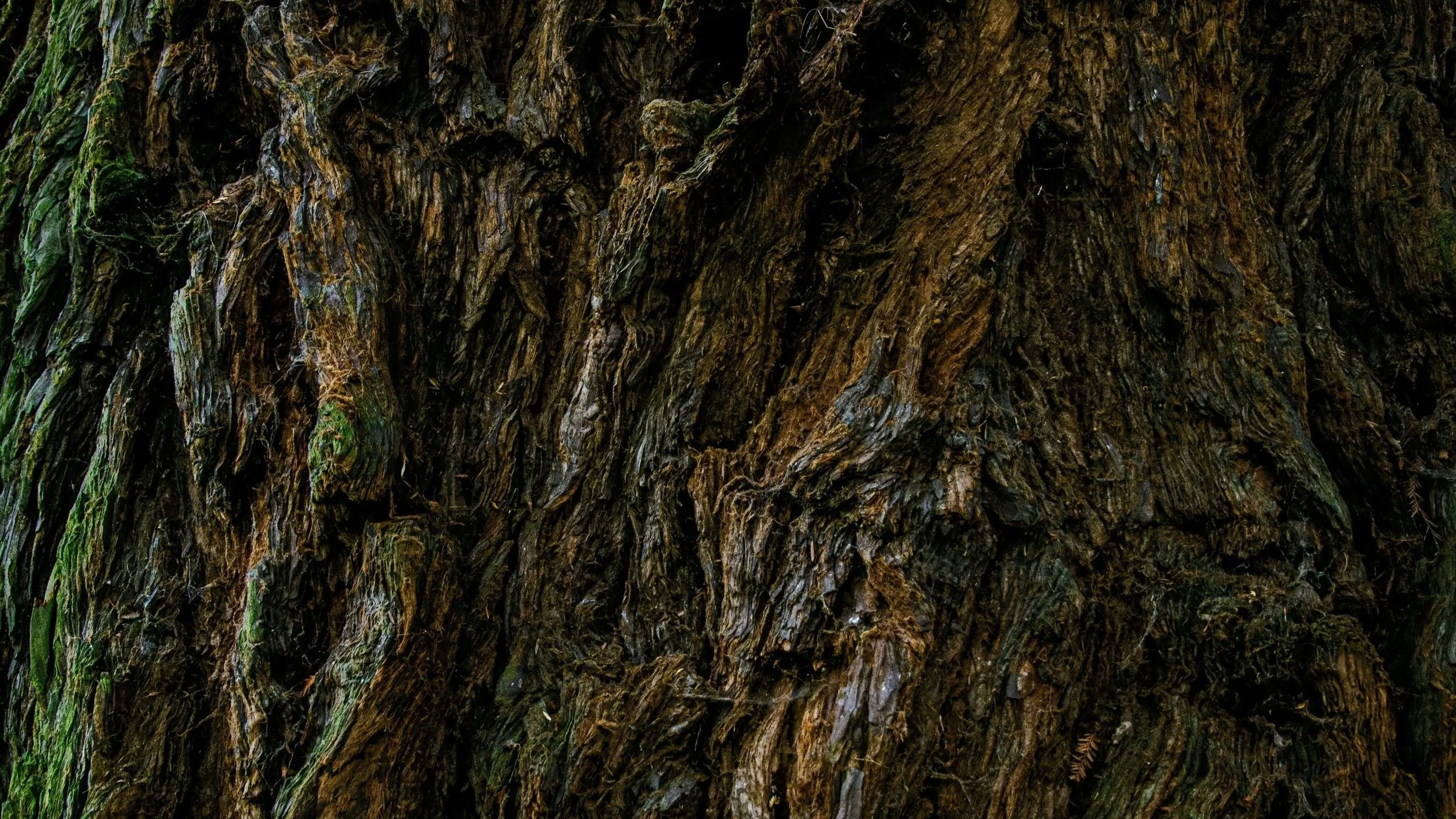 Målgrupper: Dyp fleksibilitet i miljøstyringen!