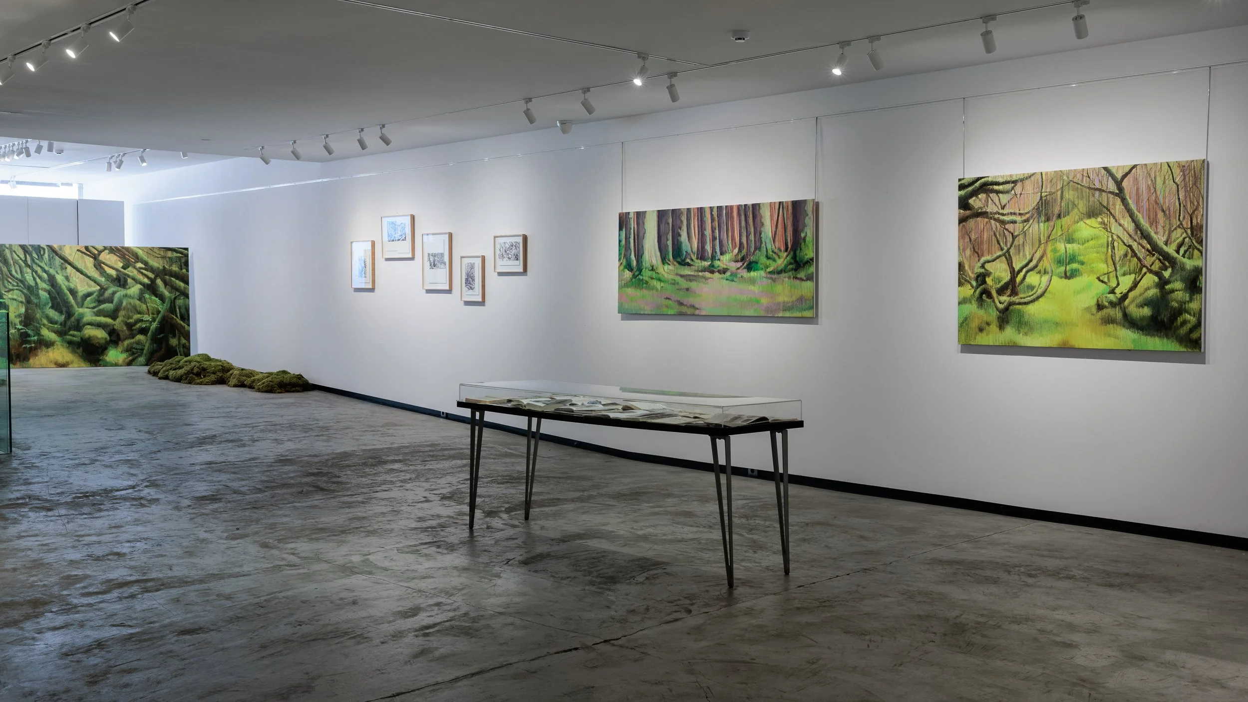 Geografias da Memoria, Galeria São Mamede, 2026