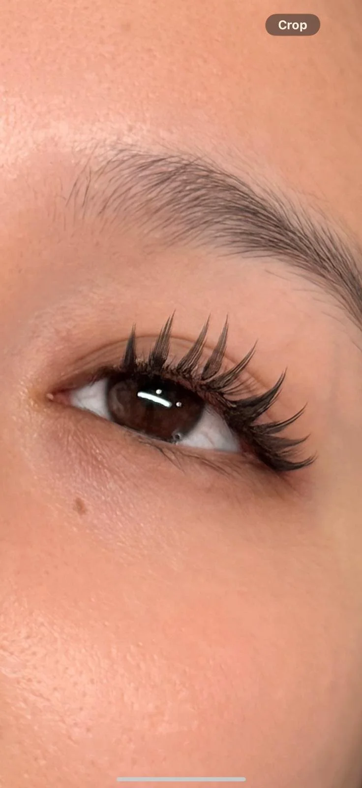 PRE ORDER: Anime Tower Lash Spikes